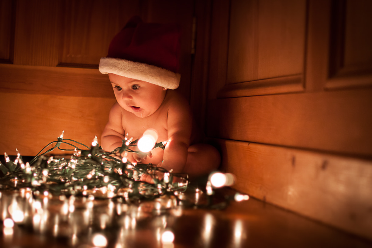 Sigma 50mm F1.4 EX DG HSM sample photo. Christmas surprise!! photography