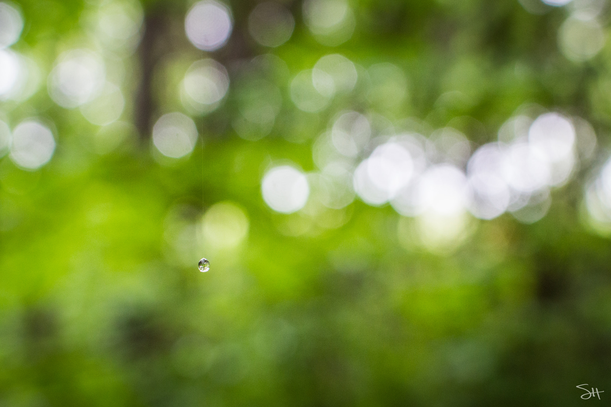 Sigma 30mm F1.4 EX DC HSM sample photo. Suspended water photography