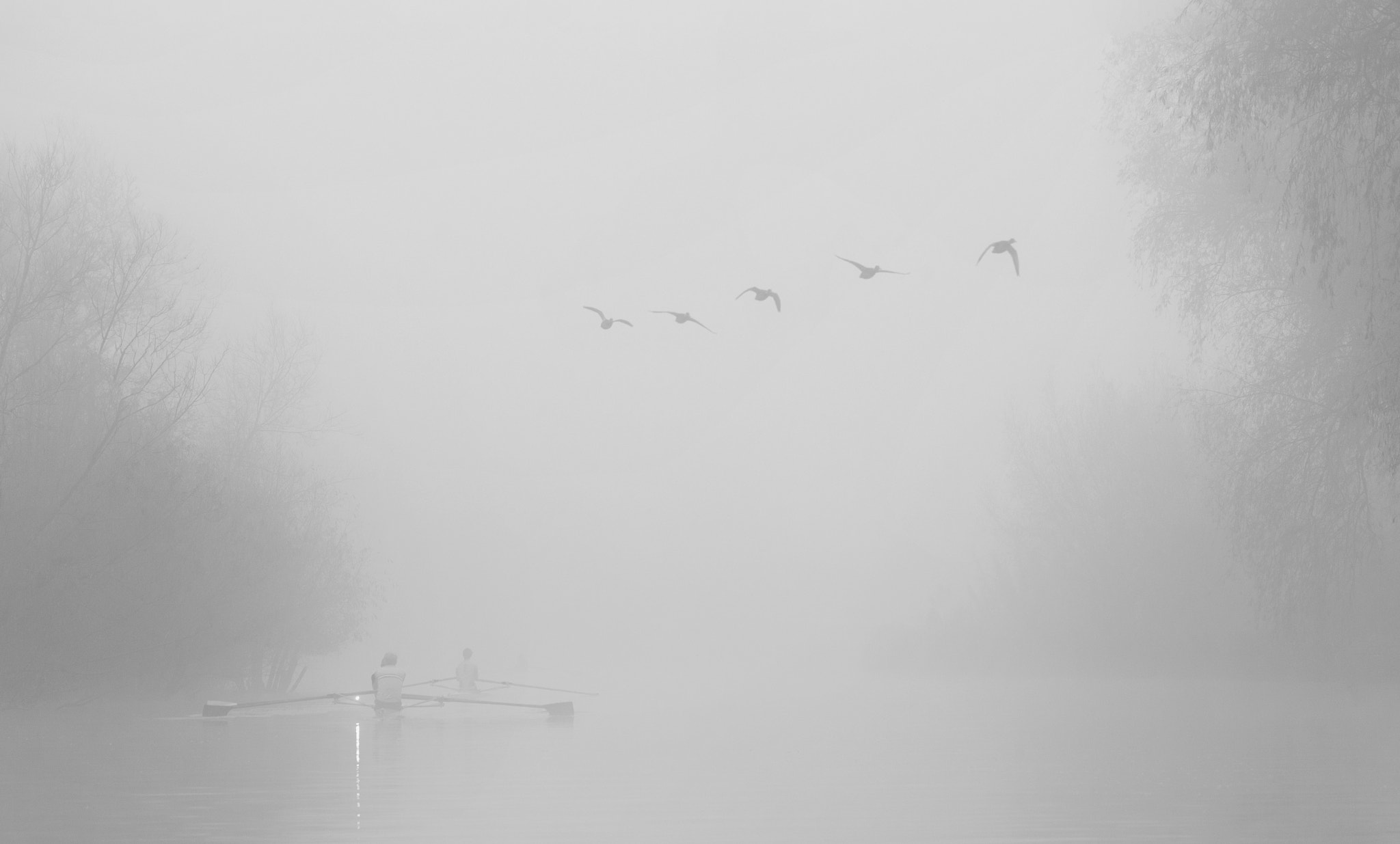 Sigma 150mm F2.8 EX DG OS Macro HSM sample photo. Rowing in the mist photography