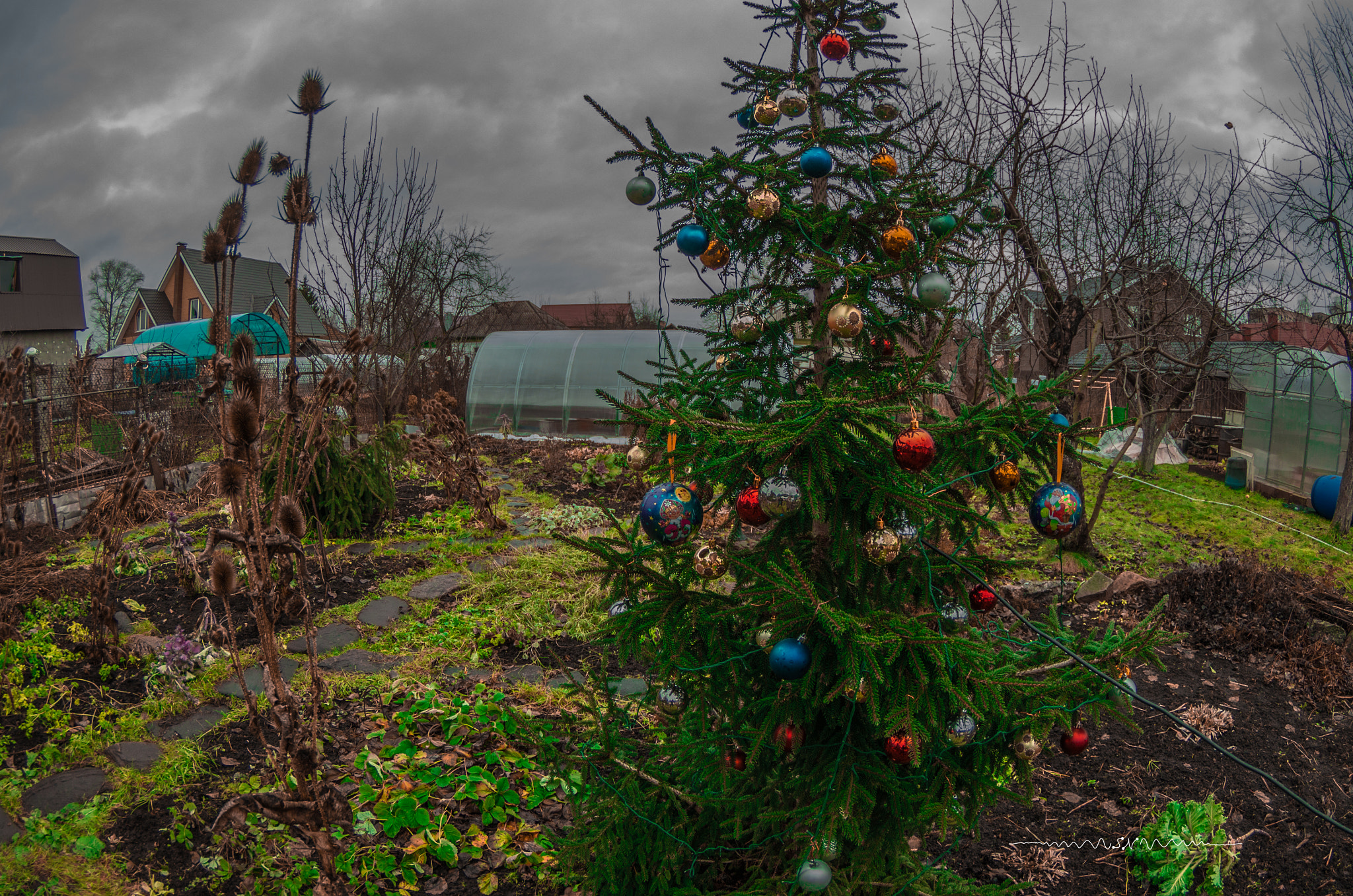Pentax K-5 IIs sample photo. Solstice photography