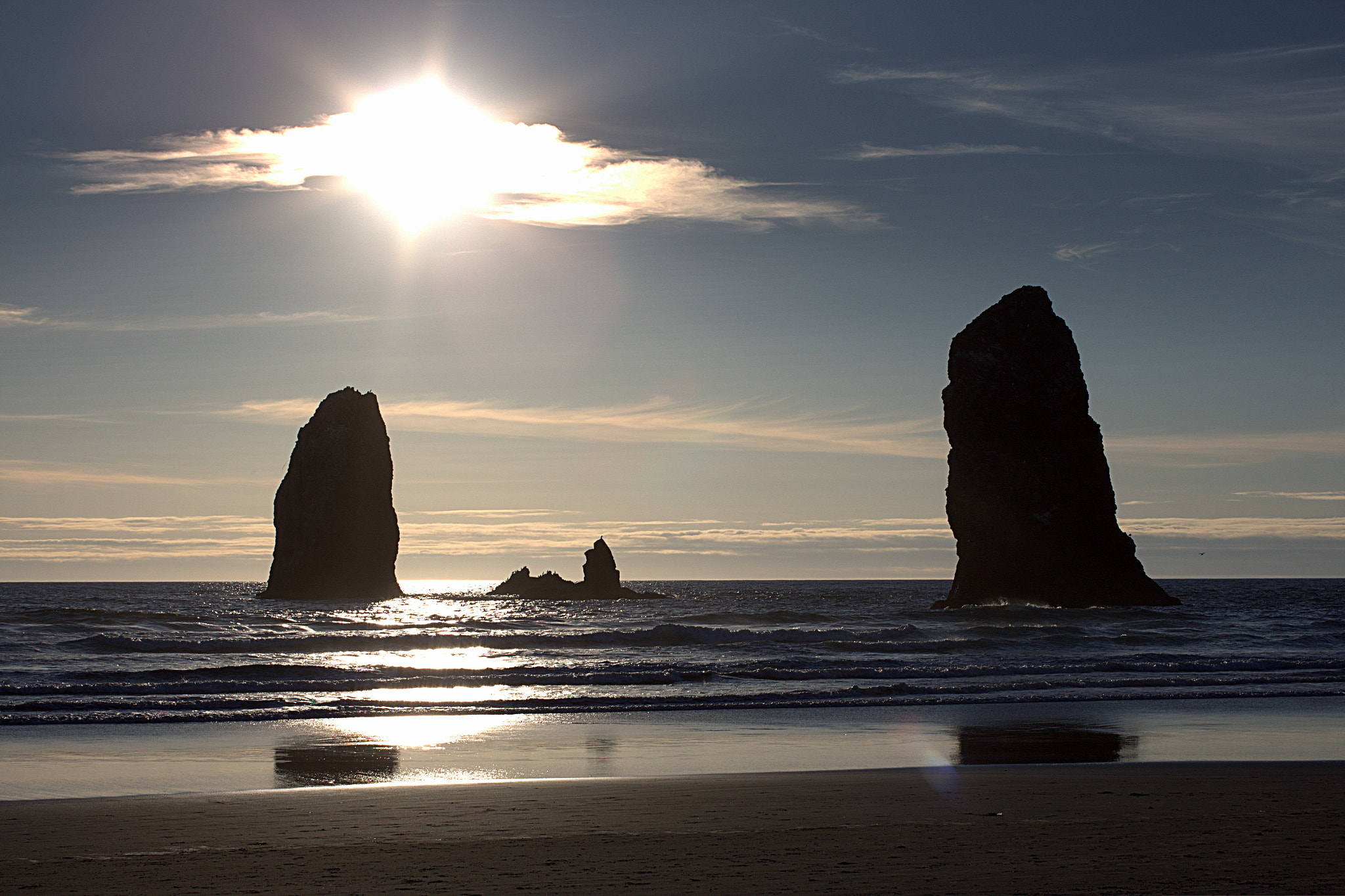 Canon EF 50mm F2.5 Macro sample photo. Near haystack rock, cannon beach, or photography