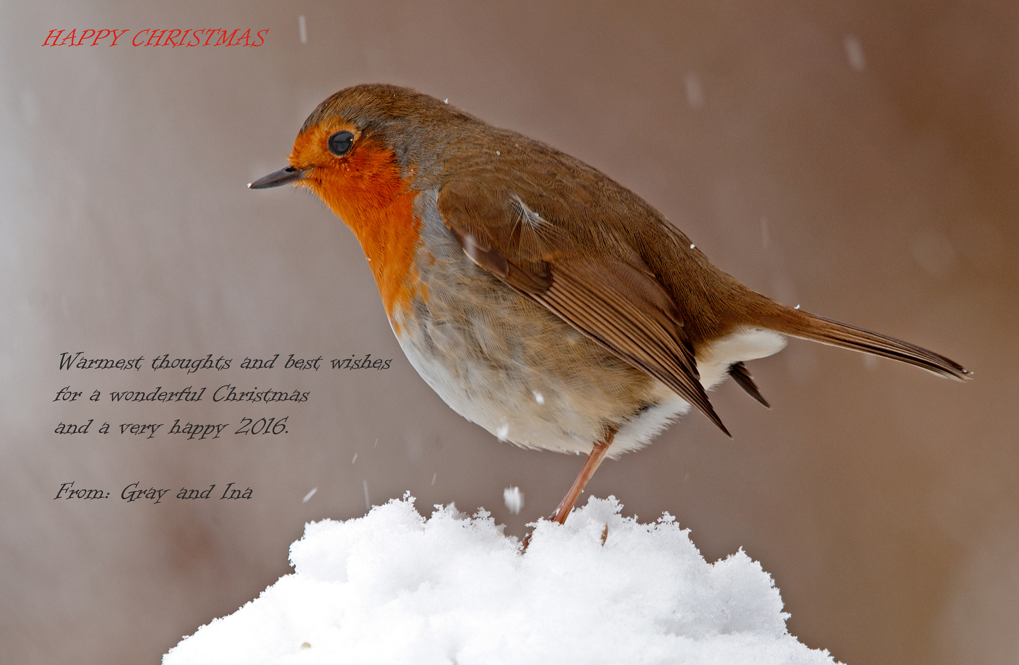 Nikon AF-S Nikkor 400mm F2.8G ED VR II sample photo. Happy christmas photography