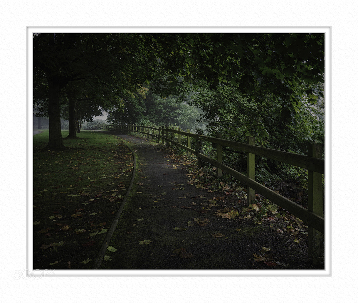 LUMIX G VARIO PZ 14-42/F3.5-5.6 sample photo. First signs of autumn. photography
