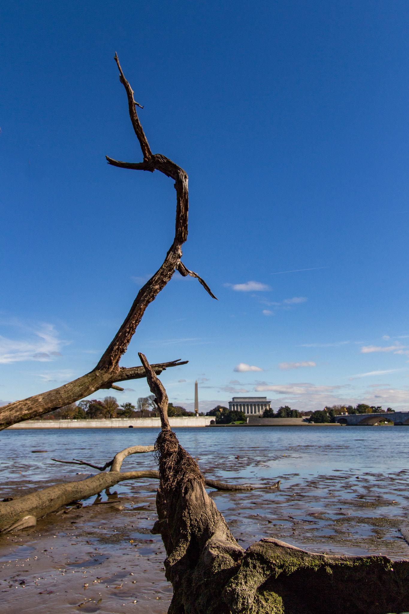 Sigma 18-50mm f/2.8 Macro sample photo. From roosevelt island photography