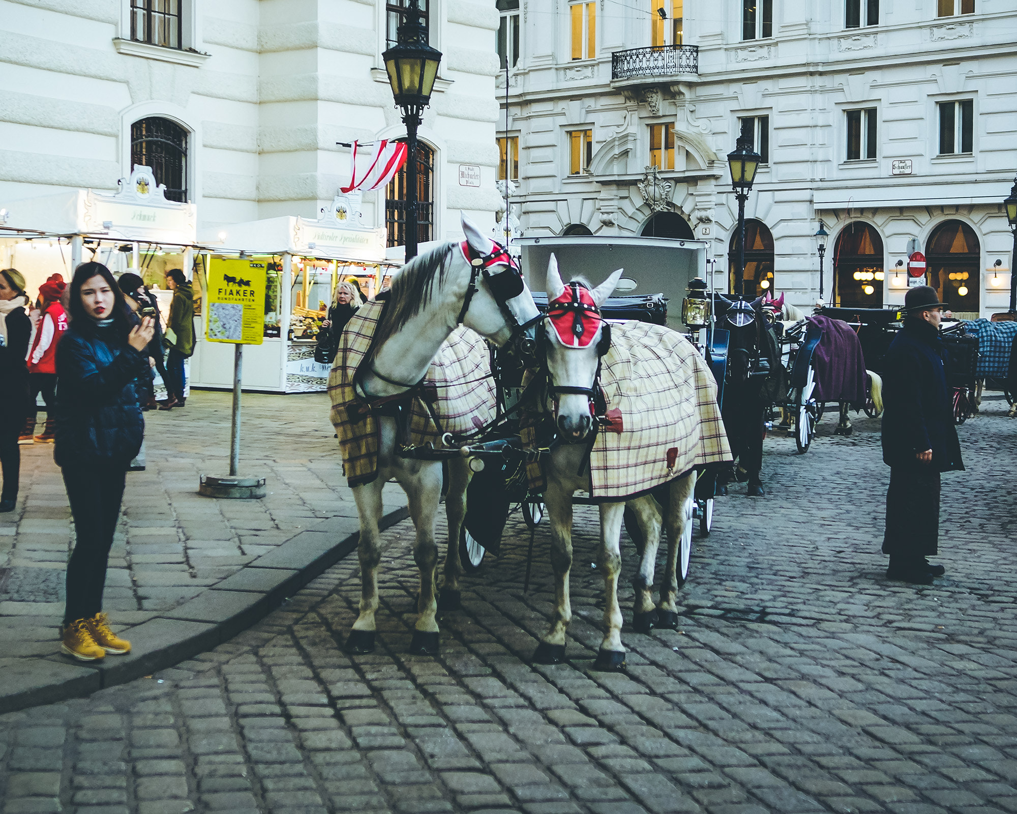 Sony SLT-A77 sample photo. Streets of vienna photography