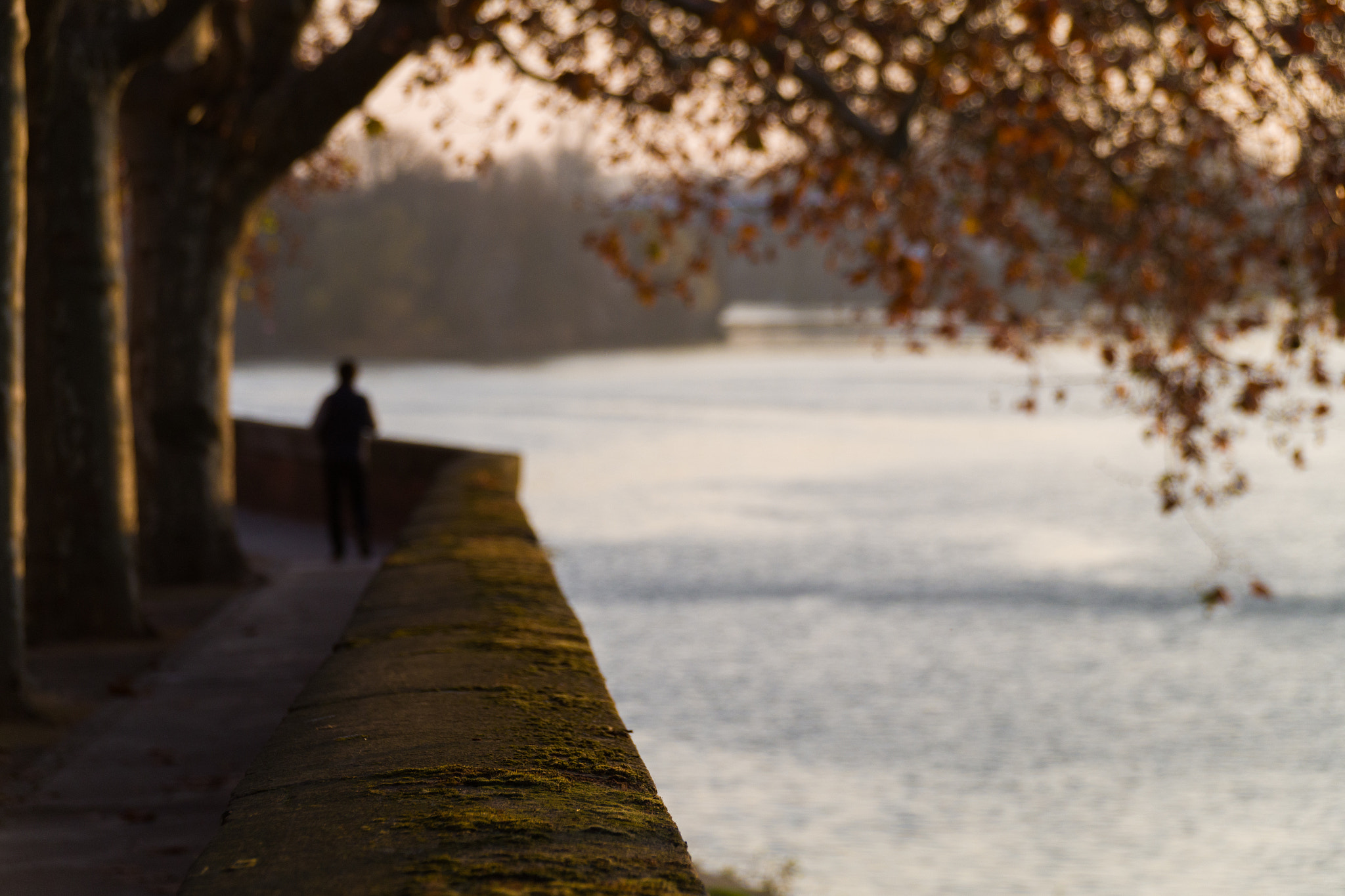 Pentax K-S1 + Sigma 18-250mm F3.5-6.3 DC Macro OS HSM sample photo. Sur les quais photography