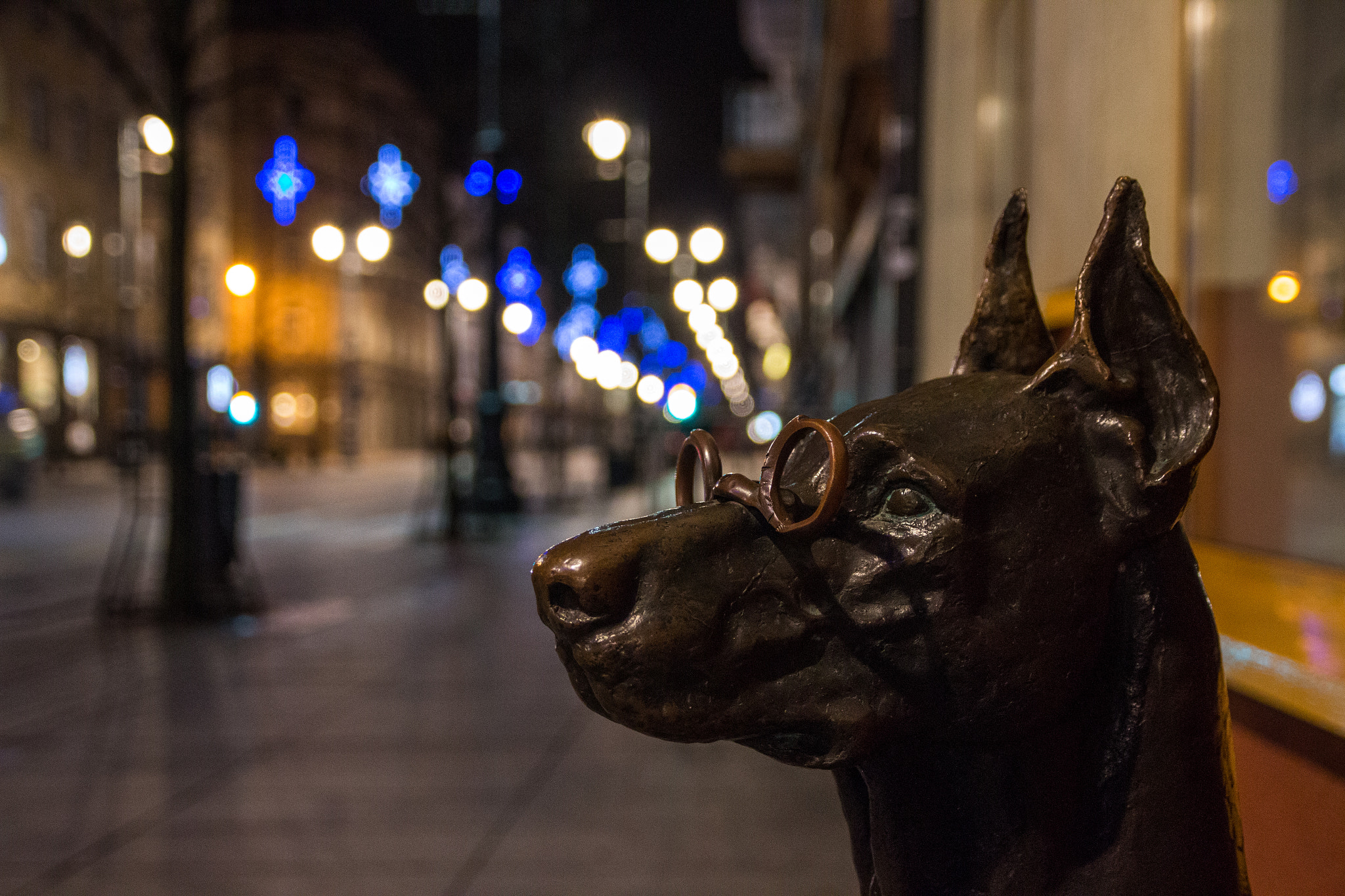 Sigma 17-70mm F2.8-4 DC Macro OS HSM sample photo. Light the night. photography