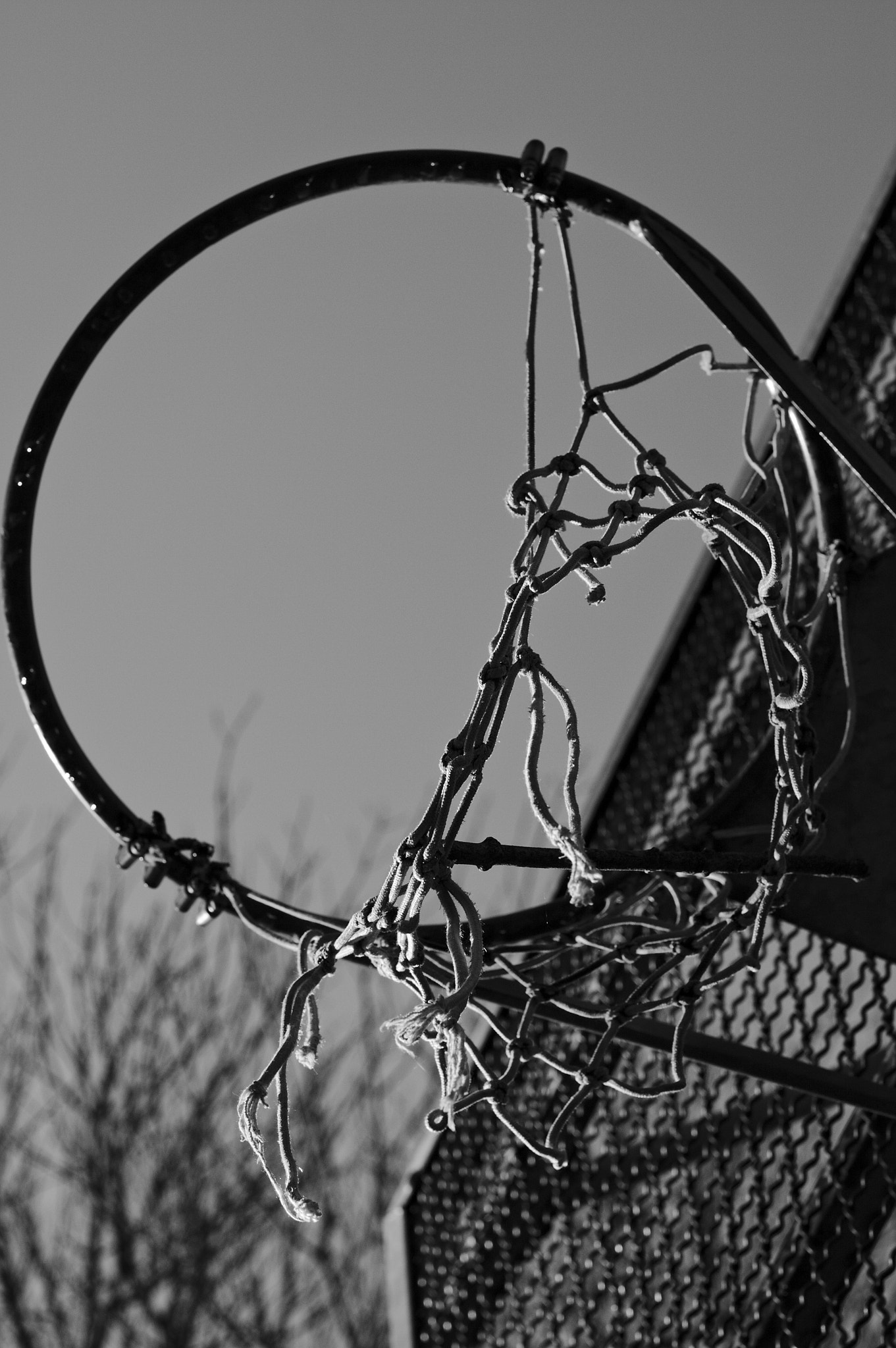 Canon EOS 50D + Canon EF 50mm F1.4 USM sample photo. Damaged photography