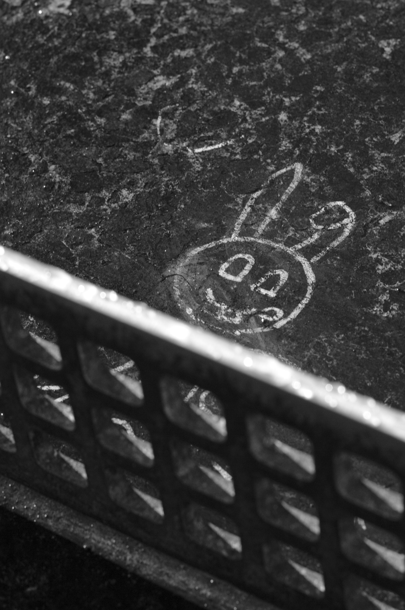 Canon EOS 50D + Canon EF 50mm F1.4 USM sample photo. The rabbit photography