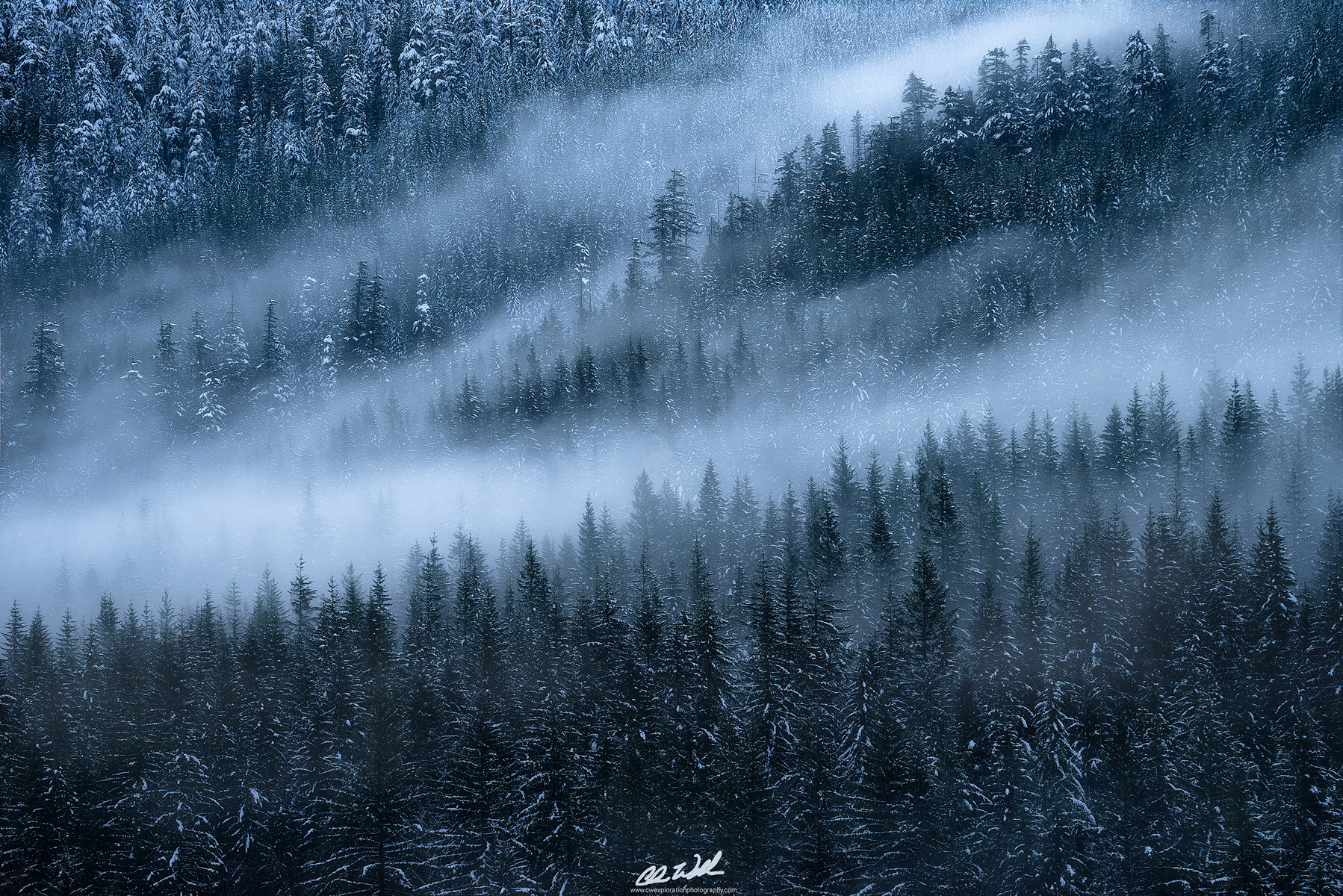 Canon EF 28-300mm F3.5-5.6L IS USM sample photo. Winter's embrace photography