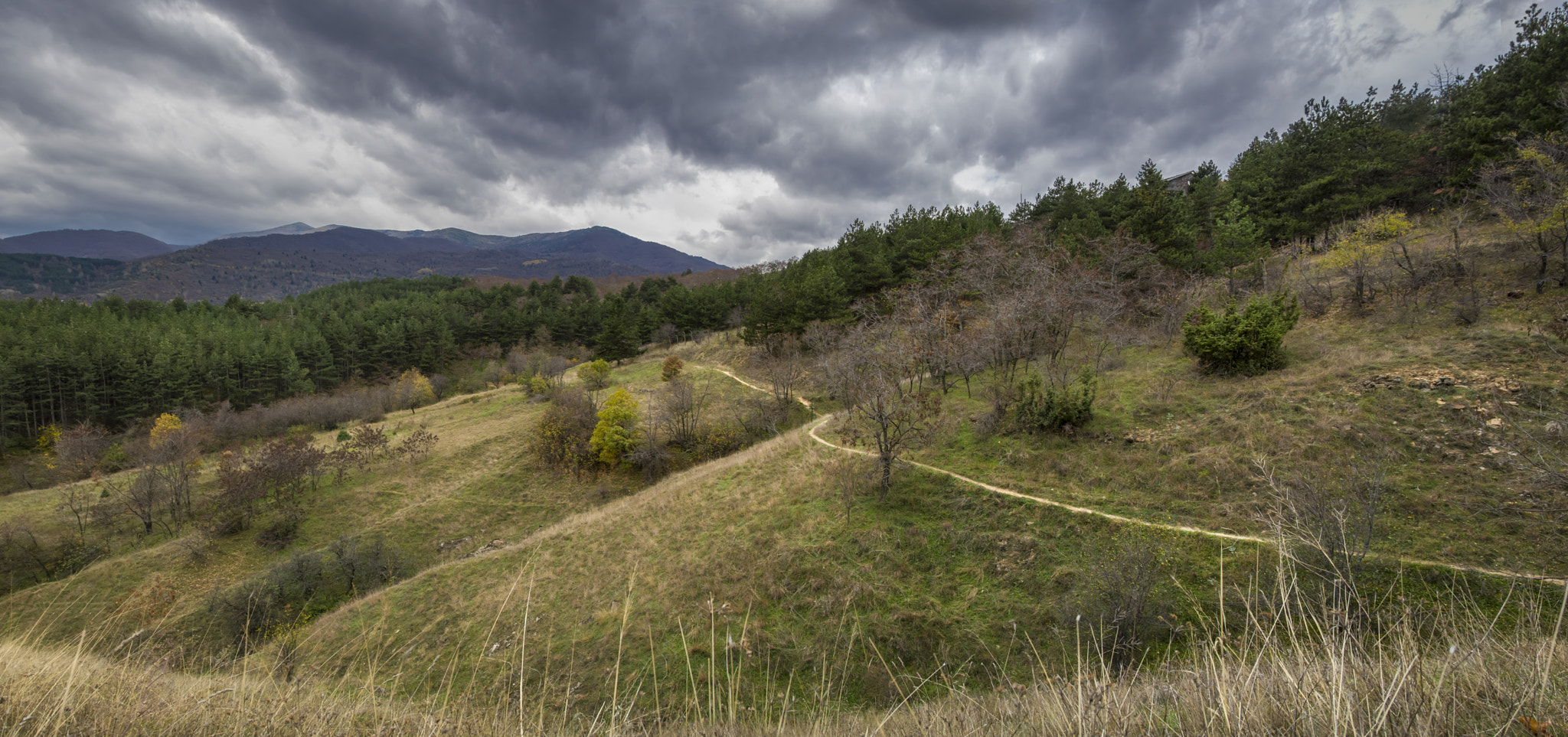 Sigma 18-250mm F3.5-6.3 DC OS HSM sample photo. Pelister photography