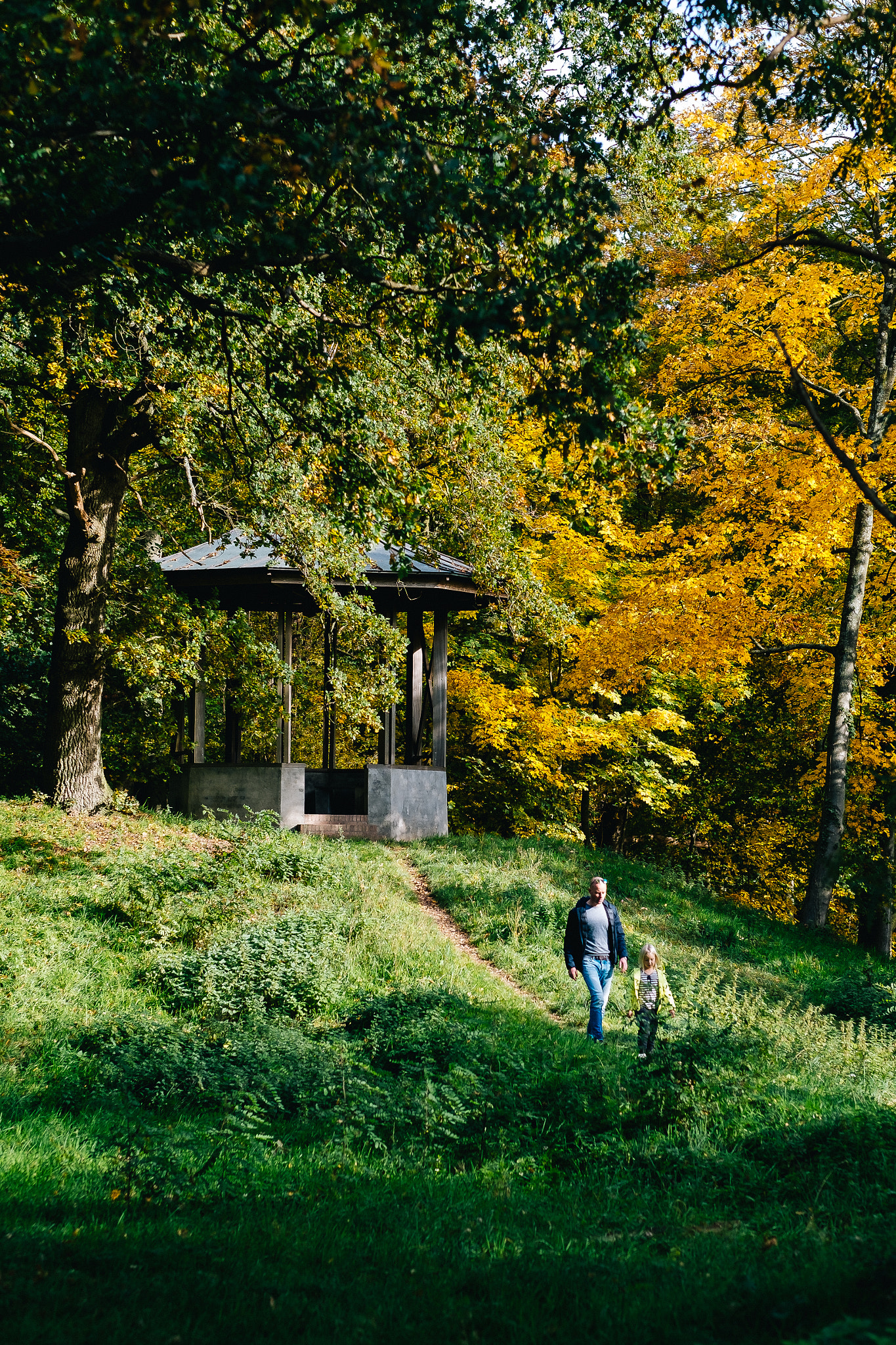 Fujifilm X-E1 + Fujifilm XF 56mm F1.2 R sample photo. Autumn eruption photography