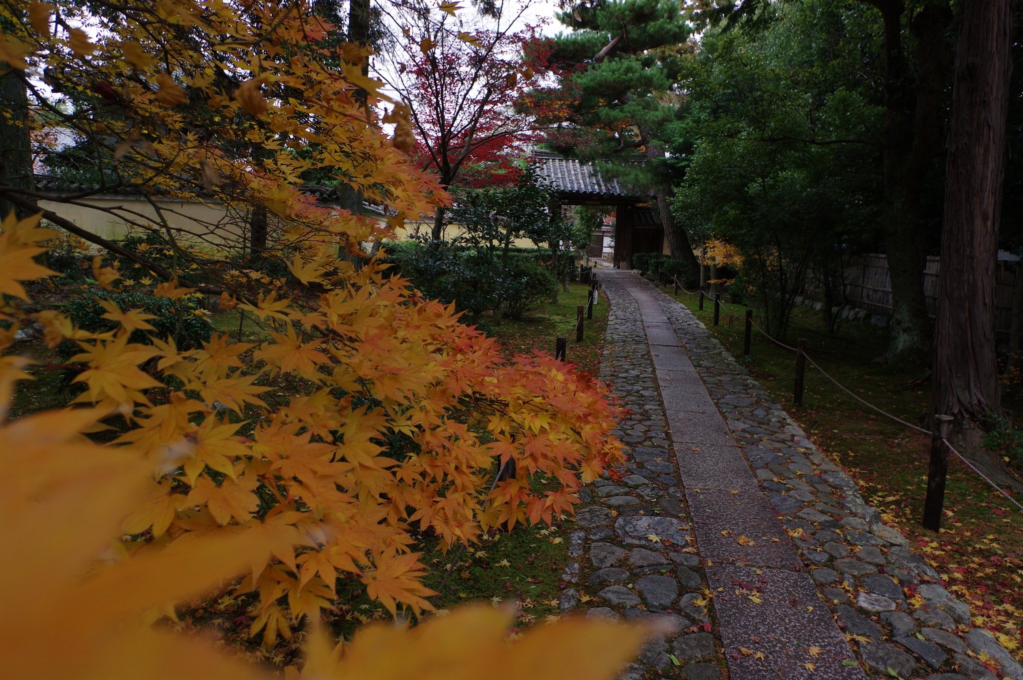 Pentax smc DA 15mm F4 ED AL Limited sample photo. Quiet way photography