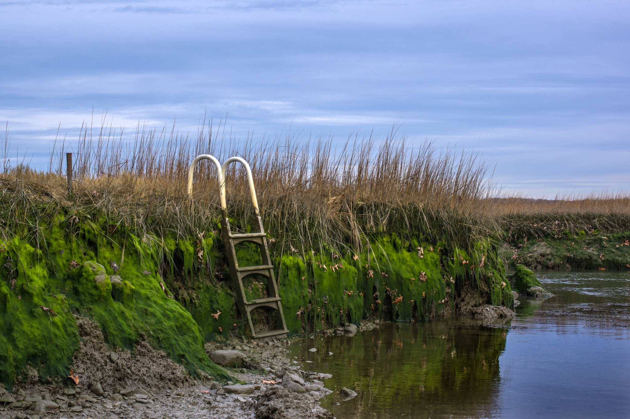 Pentax K-3 + Pentax smc DA 40mm F2.8 Limited sample photo. Boat acess ladder at low tide photography
