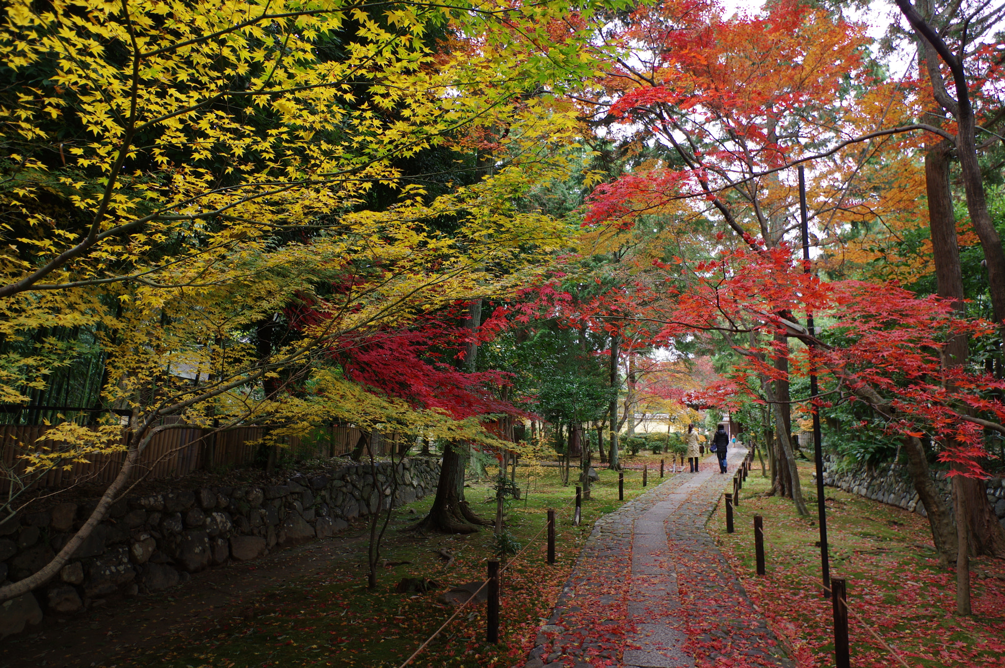 Pentax smc DA 15mm F4 ED AL Limited sample photo. Color chart photography