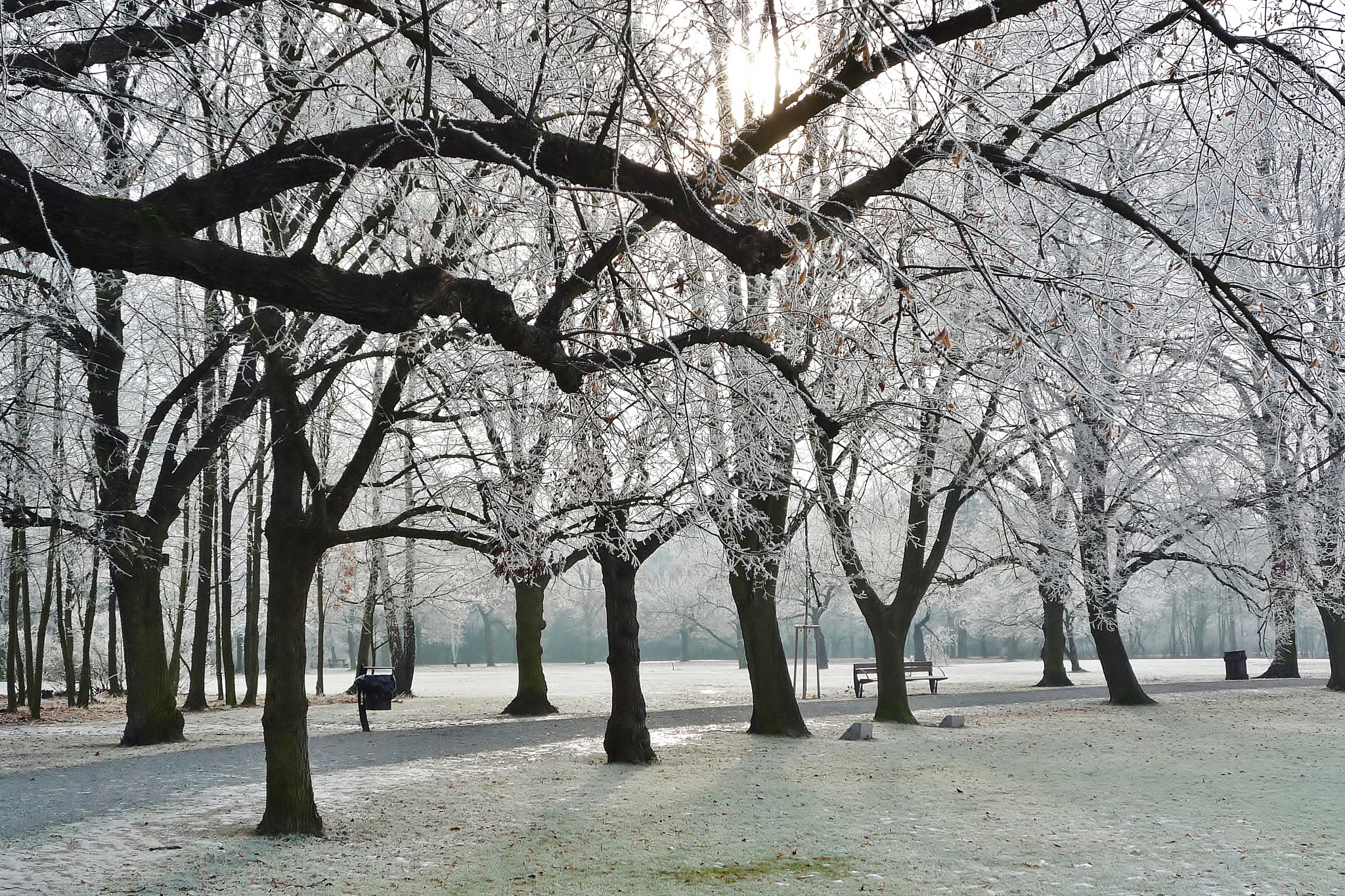 Panasonic DMC-LZ10 sample photo. Winter park photography