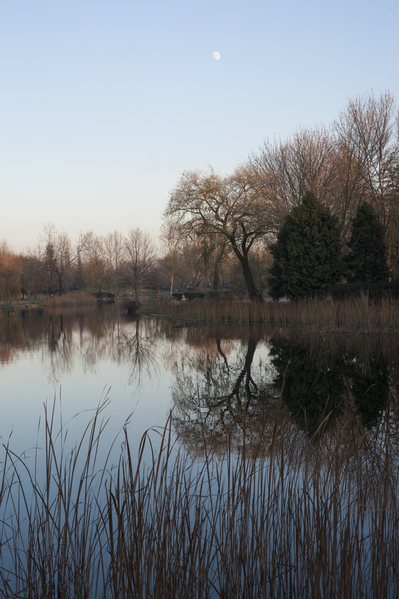 Sony Alpha DSLR-A900 + Sony 50mm F1.4 sample photo. Peaceful types photography