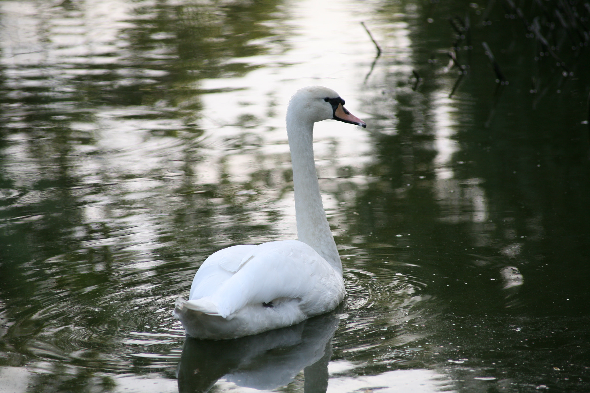 Canon EOS 5D + Canon EF 70-210mm f/4 sample photo. Img_4628.jpg photography