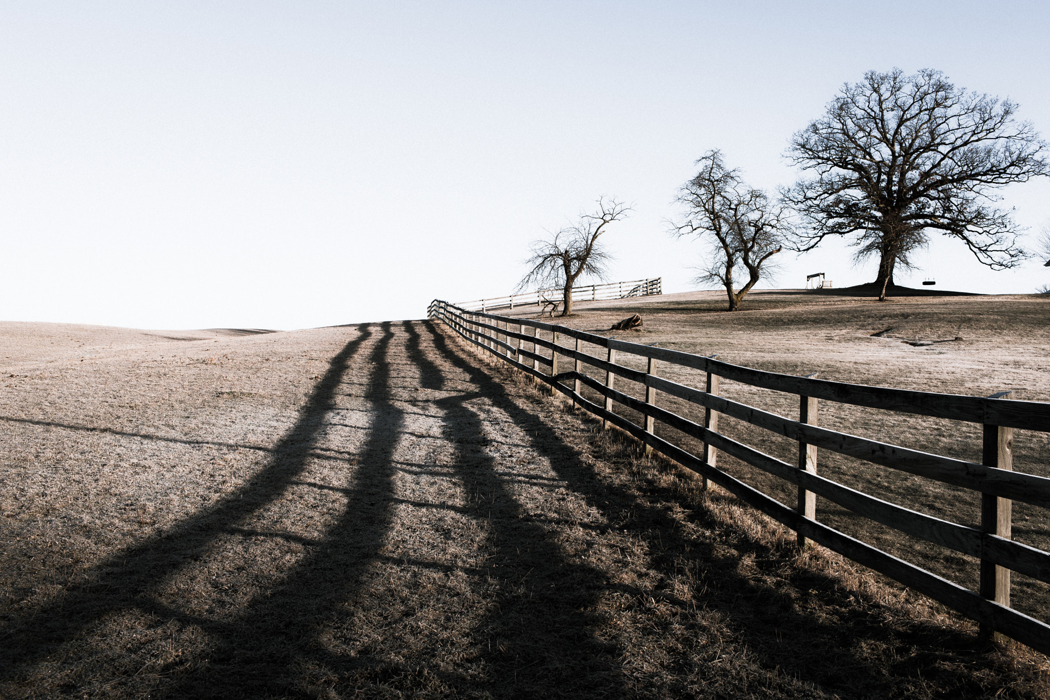 Canon EF 35mm F1.4L USM sample photo. Morning field photography