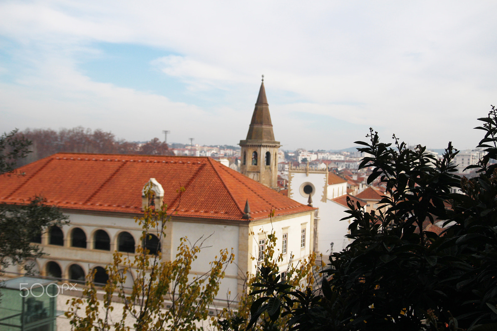 Sigma 17-70mm F2.8-4 DC Macro OS HSM sample photo. Tomar photography