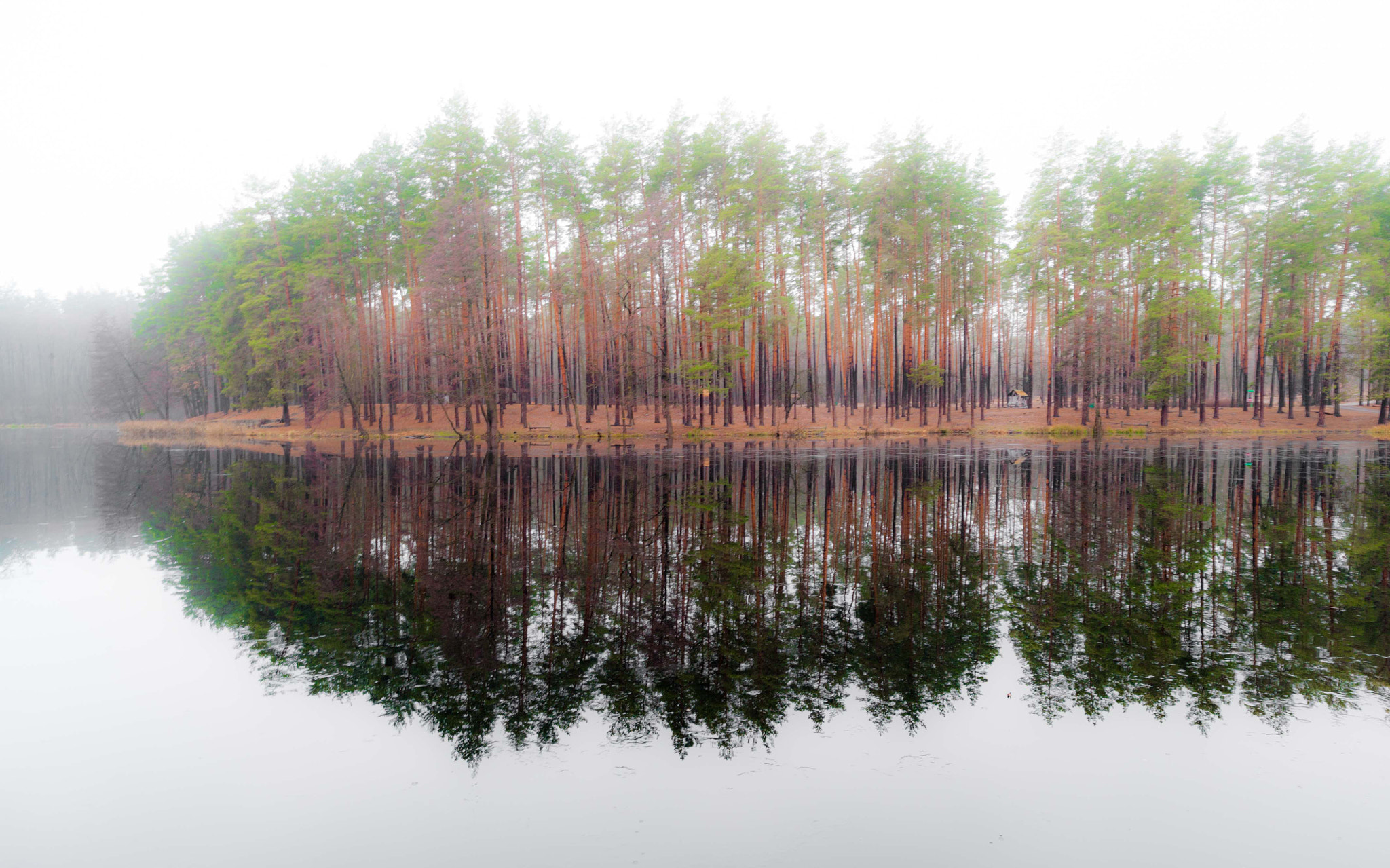 Nikon D3 sample photo. "morning" photography