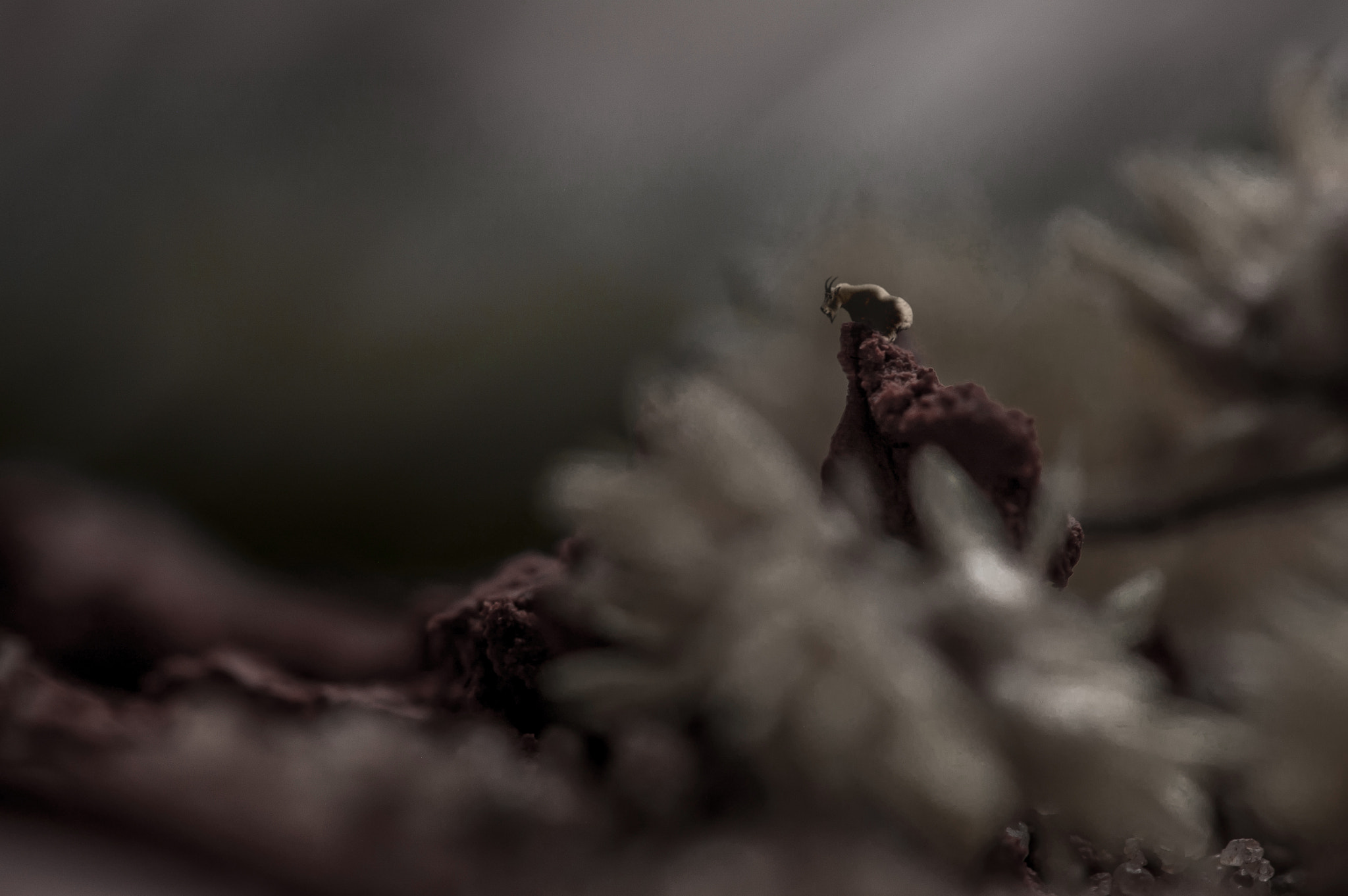 Nikon D40 sample photo. Imaginary landscapes 08 photography
