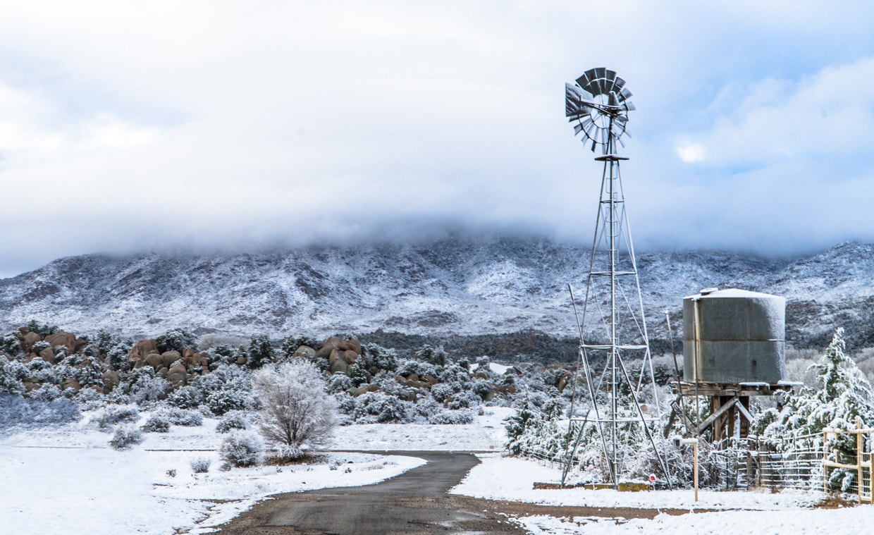 Sony a7 II + Sony E PZ 18-105mm F4 G OSS sample photo. Edit resized photography