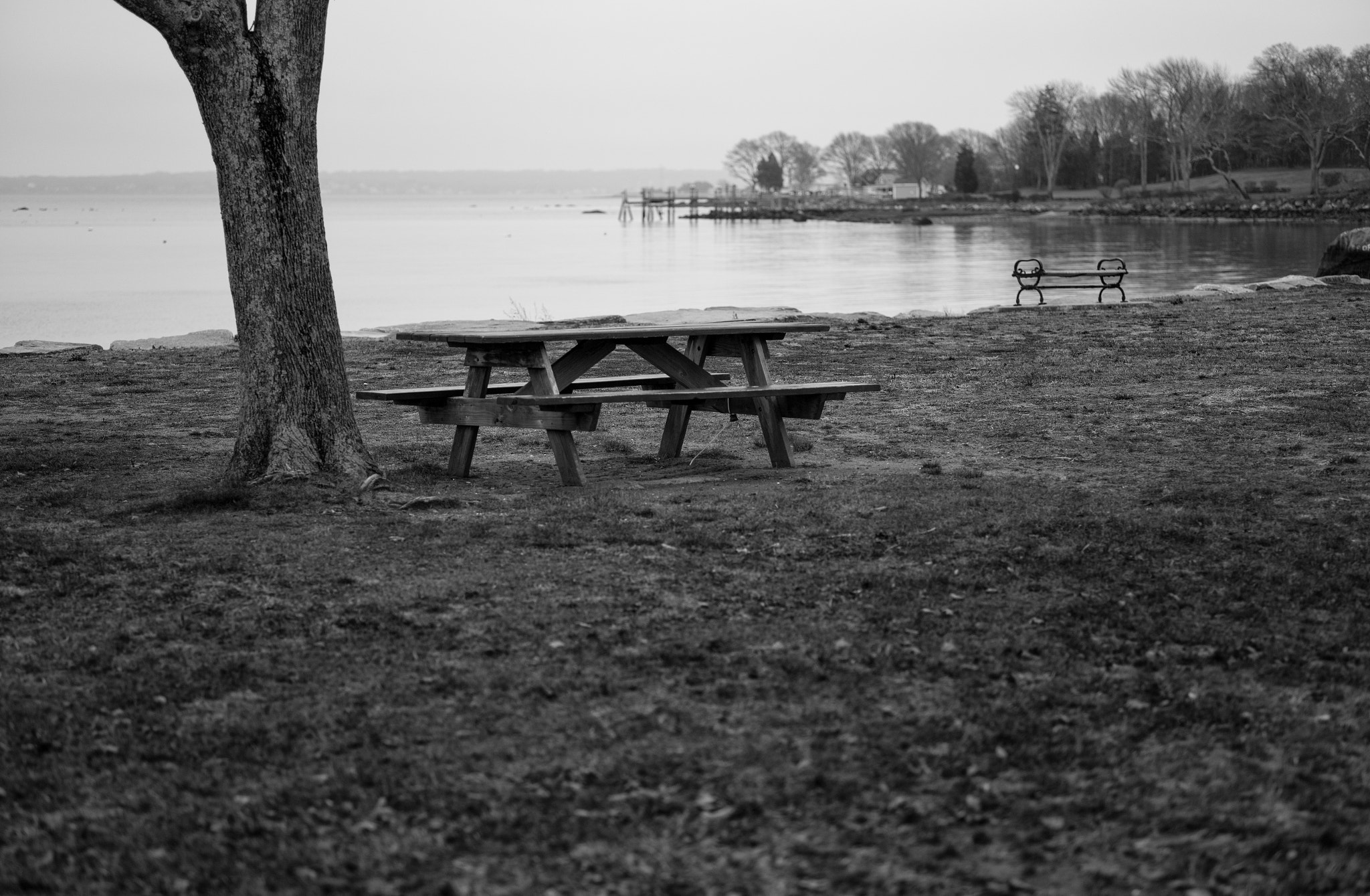 Leica M9 + Leica Summarit-M 75mm F2.5 sample photo. No picnic photography