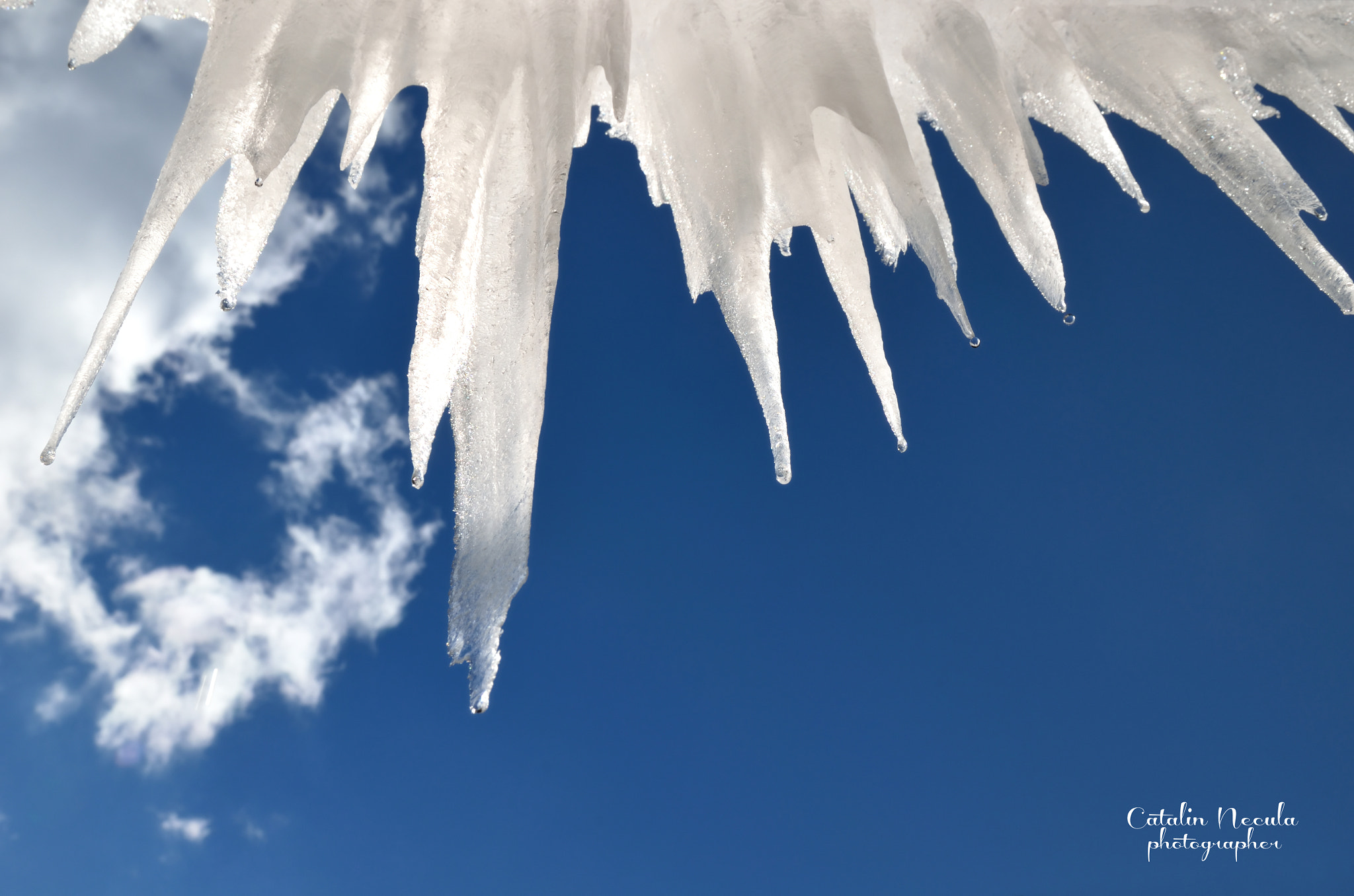 Nikon D5100 + AF Nikkor 50mm f/1.8 N sample photo. Icicles in the blue sky photography
