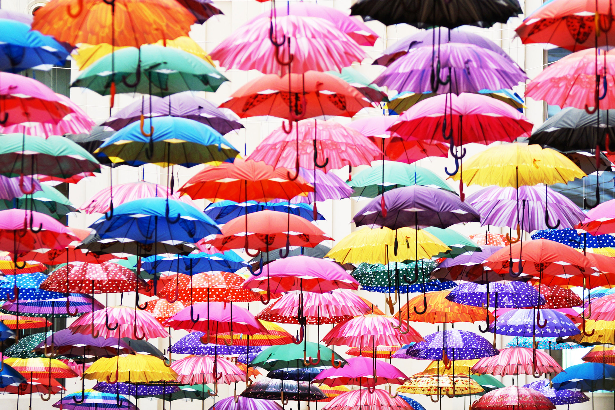 Sony SLT-A57 + Tamron Lens (255) sample photo. Umbrellas photography
