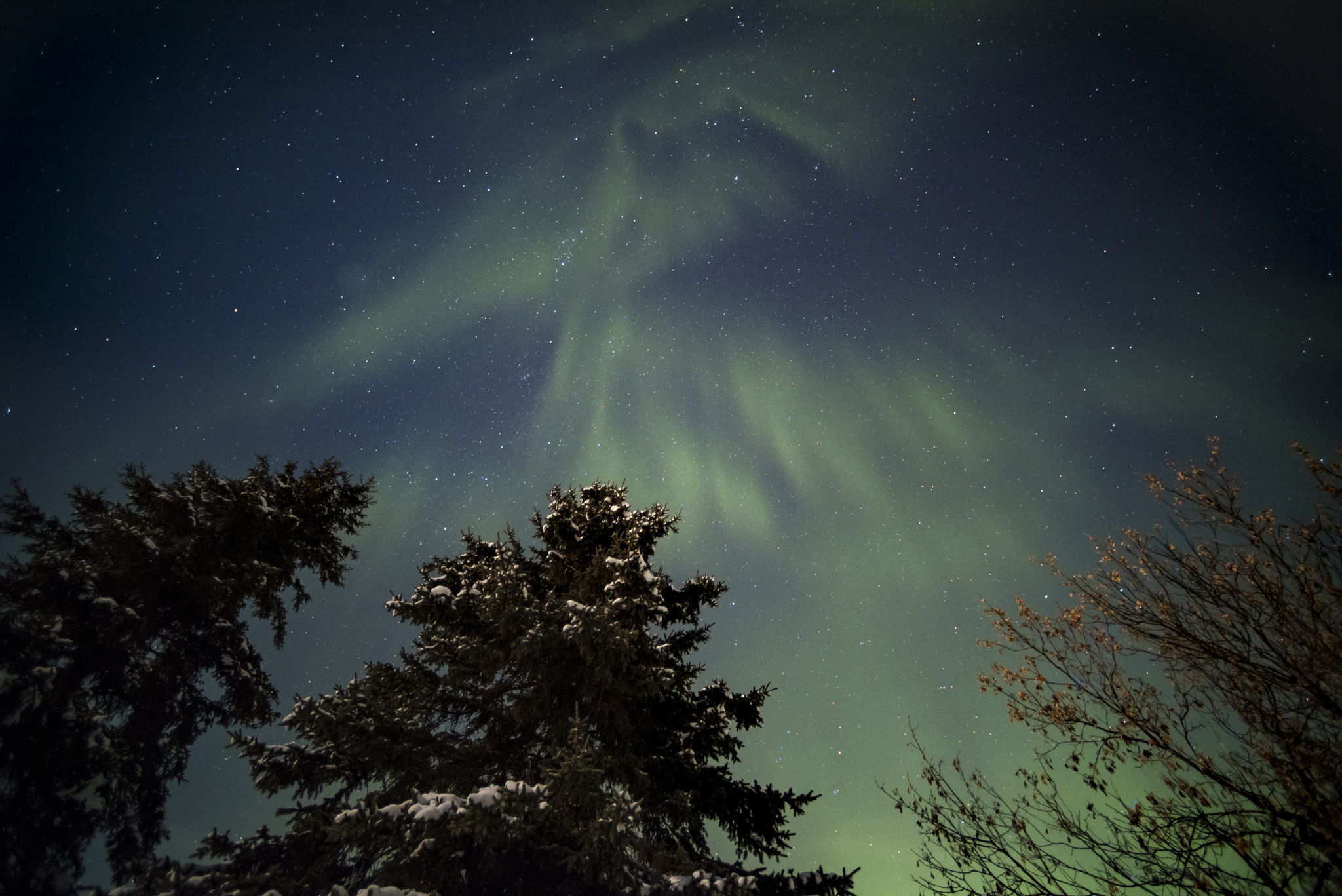 Nikon D810A + Nikon AF Nikkor 14mm F2.8D ED sample photo. Enchanted forest photography