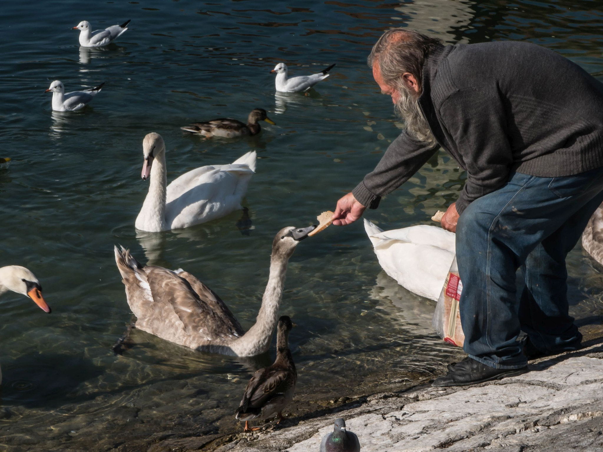 Panasonic Lumix DMC-GX7 sample photo. Share eat photography