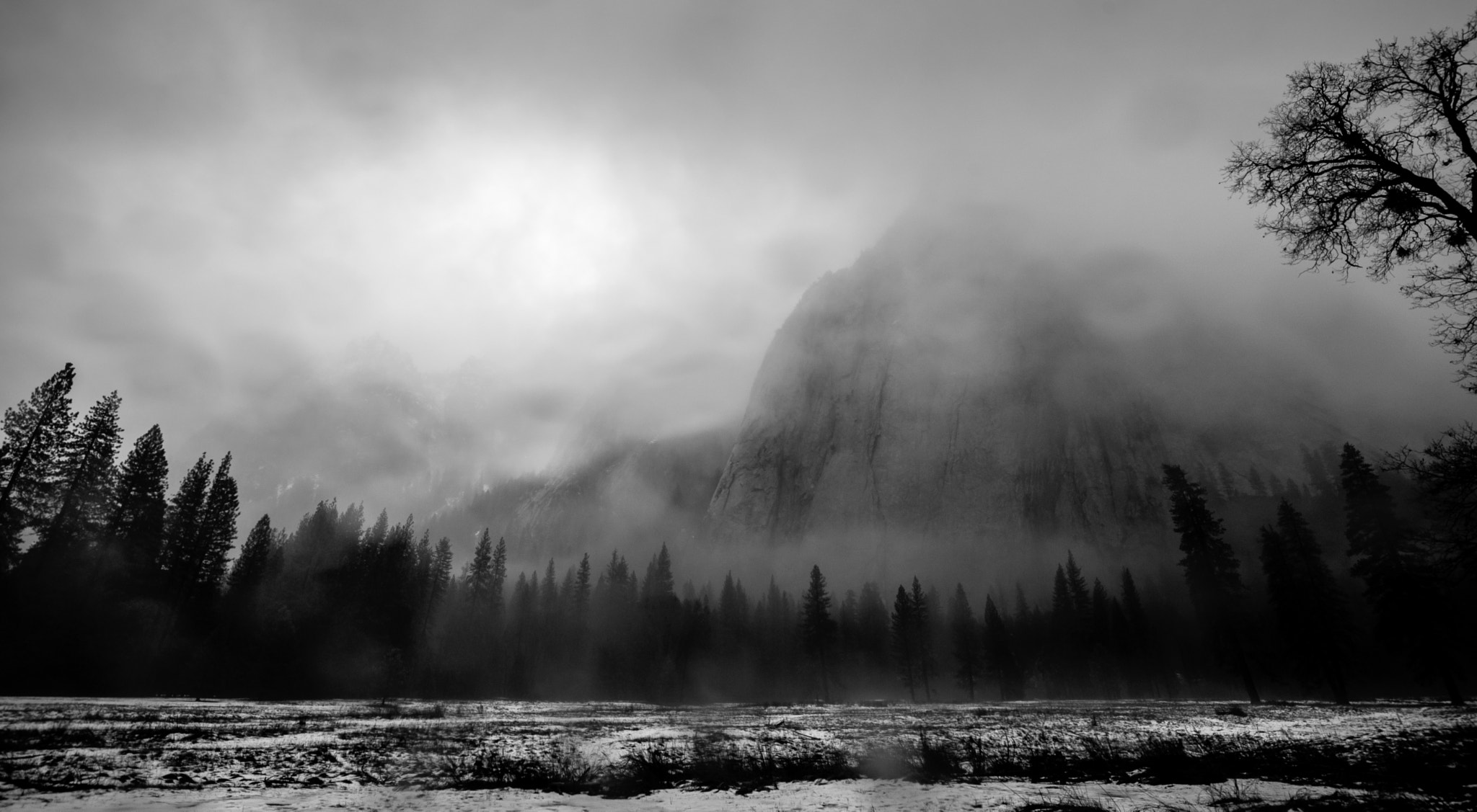 Sony a7 II + Canon EF 16-35mm F4L IS USM sample photo. Yosemite mist photography