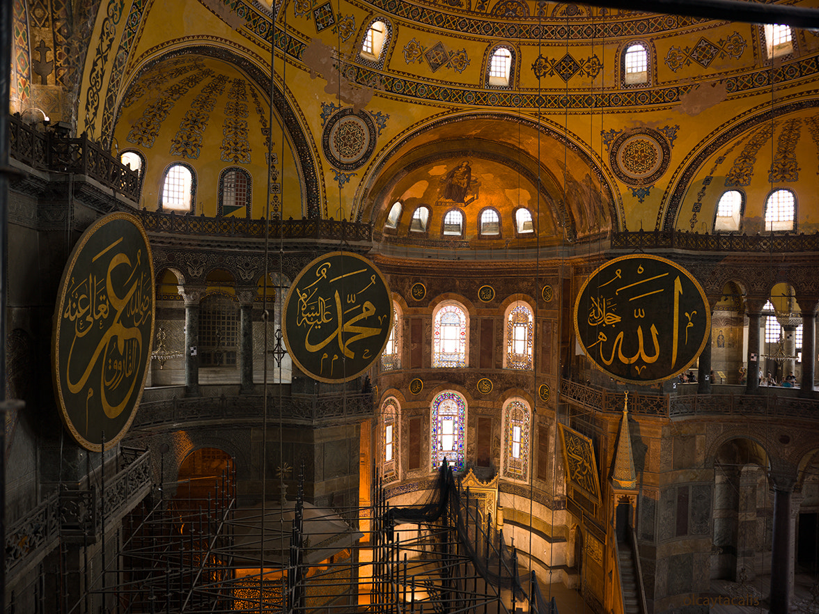 Hasselblad H5D-50 + HCD 35-90 sample photo. Ayasofya mozaik ve kubbeler photography