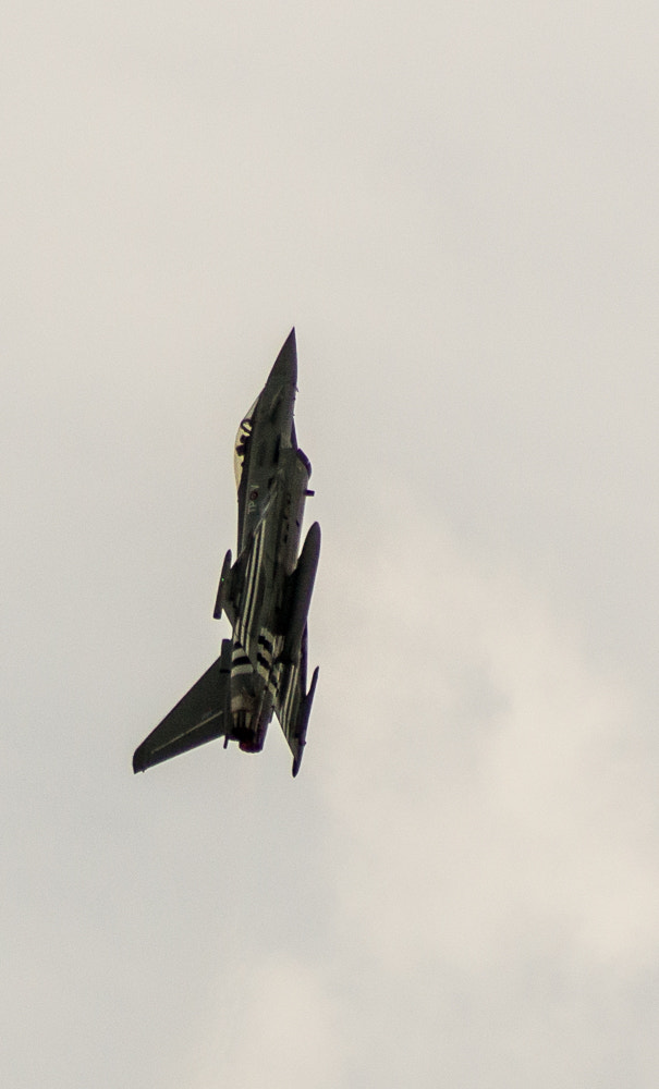 Sony 75-300mm F4.5-5.6 sample photo. 17572220023.jpg photography