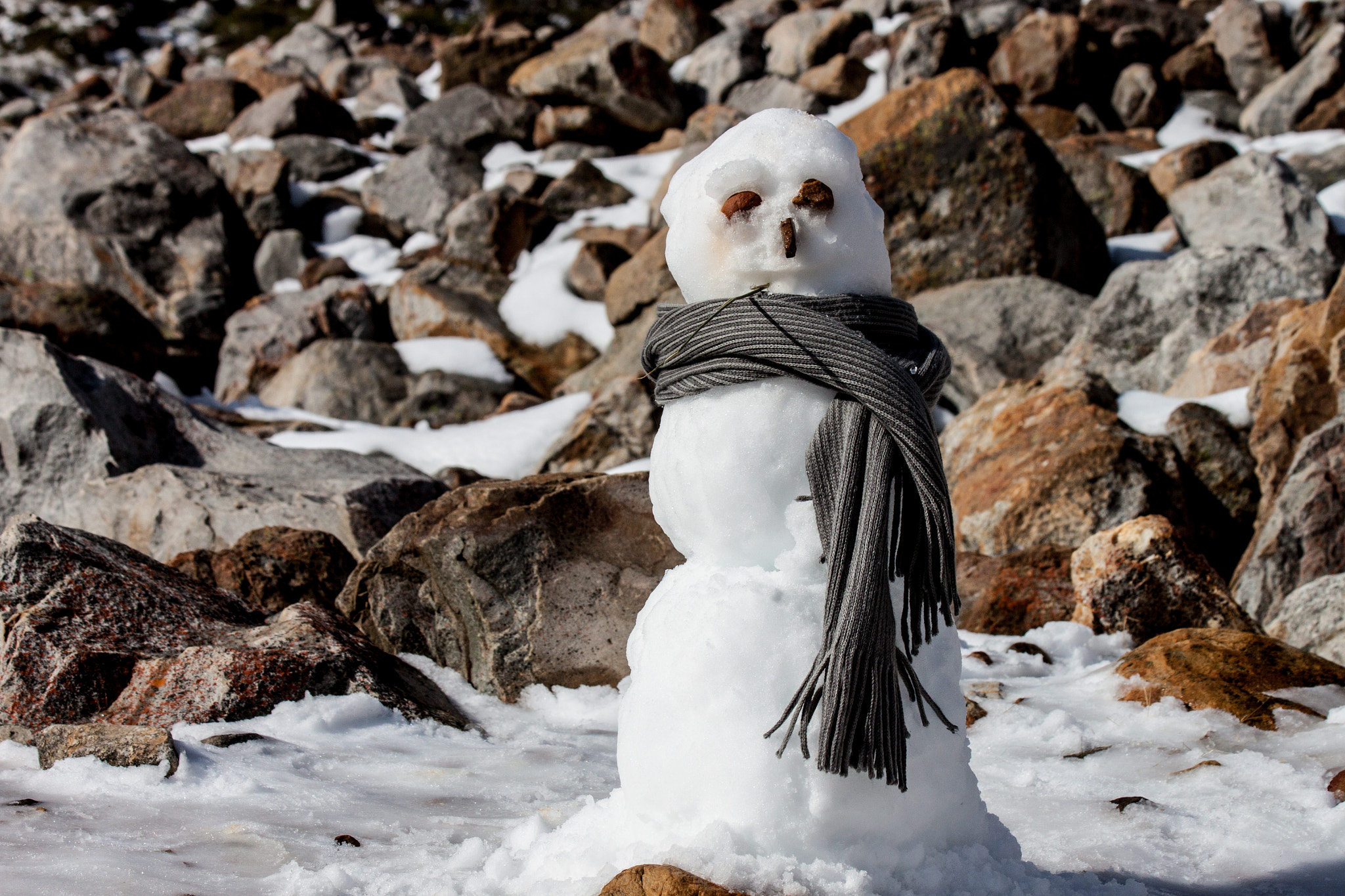 Canon EF 70-300mm F4-5.6 IS USM sample photo. Chilling out photography