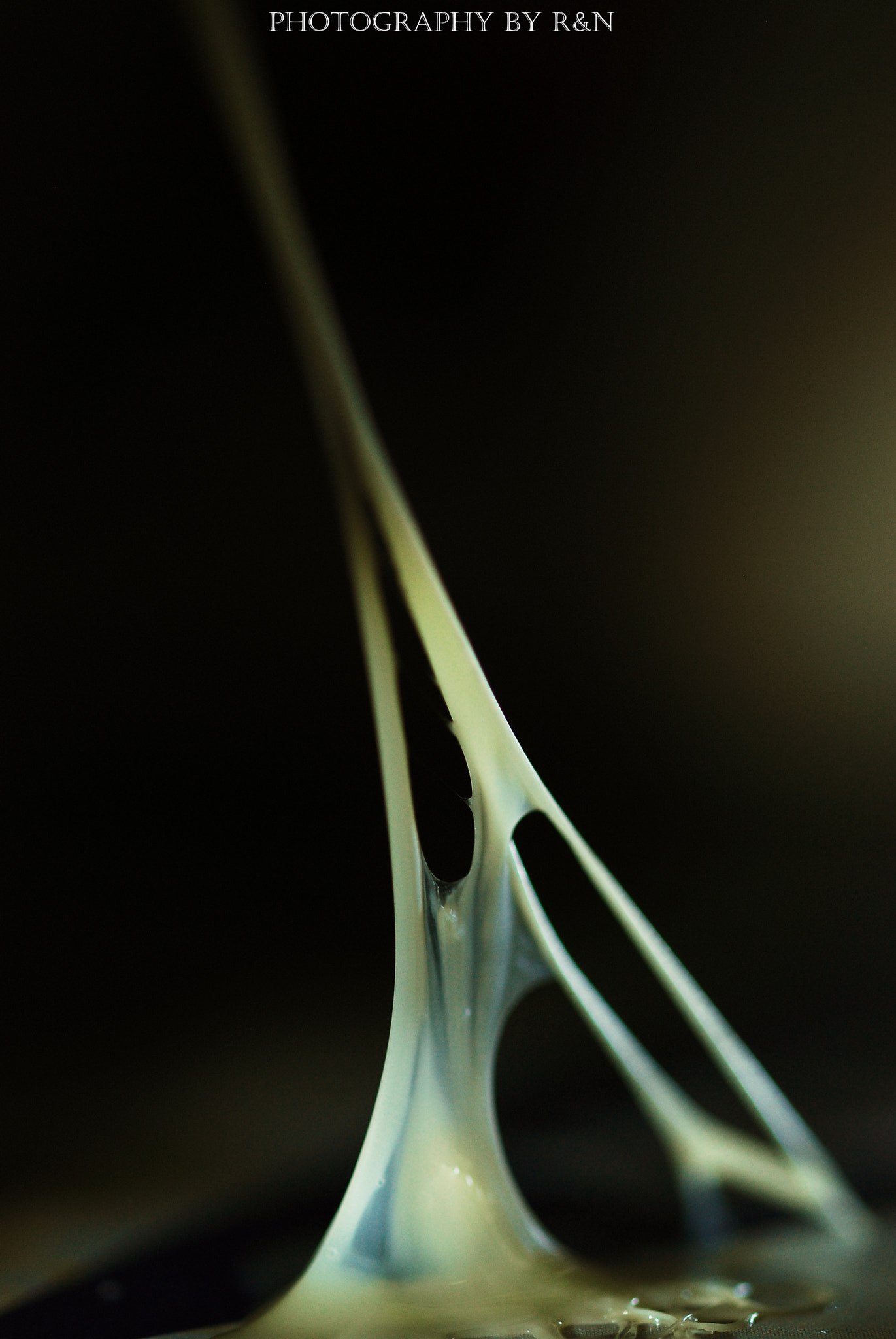 Sigma 105mm F2.8 EX DG OS HSM sample photo. Gomma photography