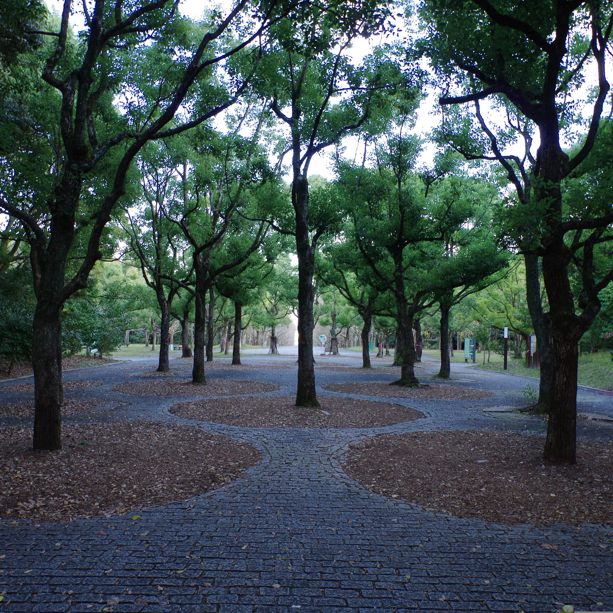 Pentax K-01 sample photo. Park photography