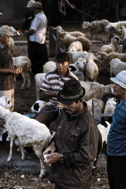 Nikon D200 + AF Nikkor 70-210mm f/4-5.6 sample photo. Pasar kambing photography