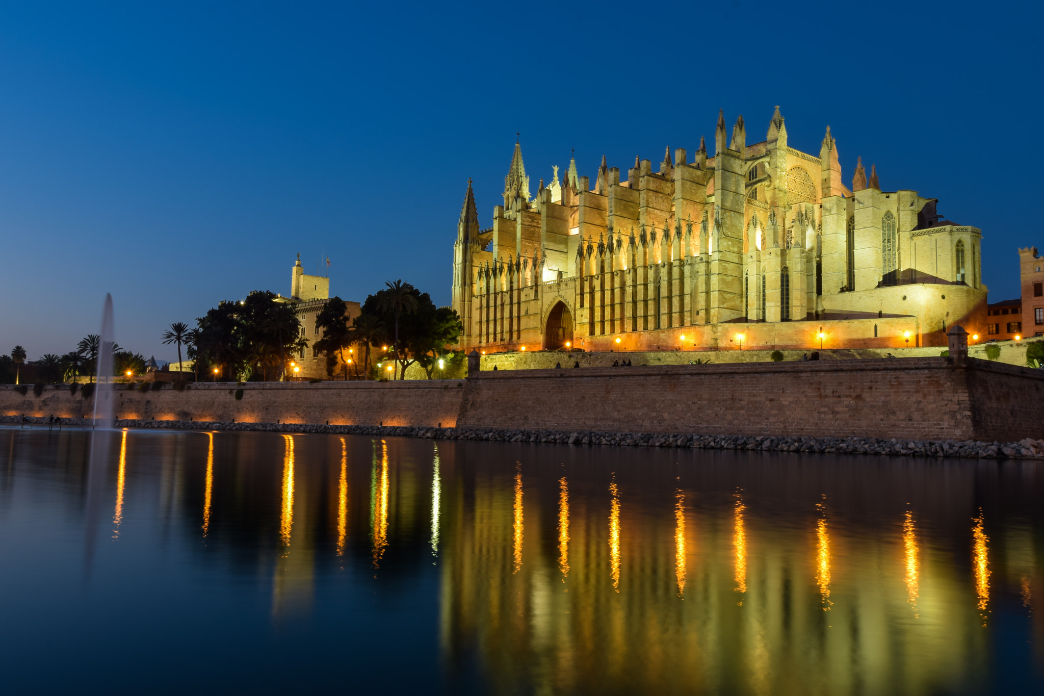 Nikon AF-S Nikkor 14-24mm F2.8G ED sample photo. The cathedral of santa maria of palma, mallorca photography