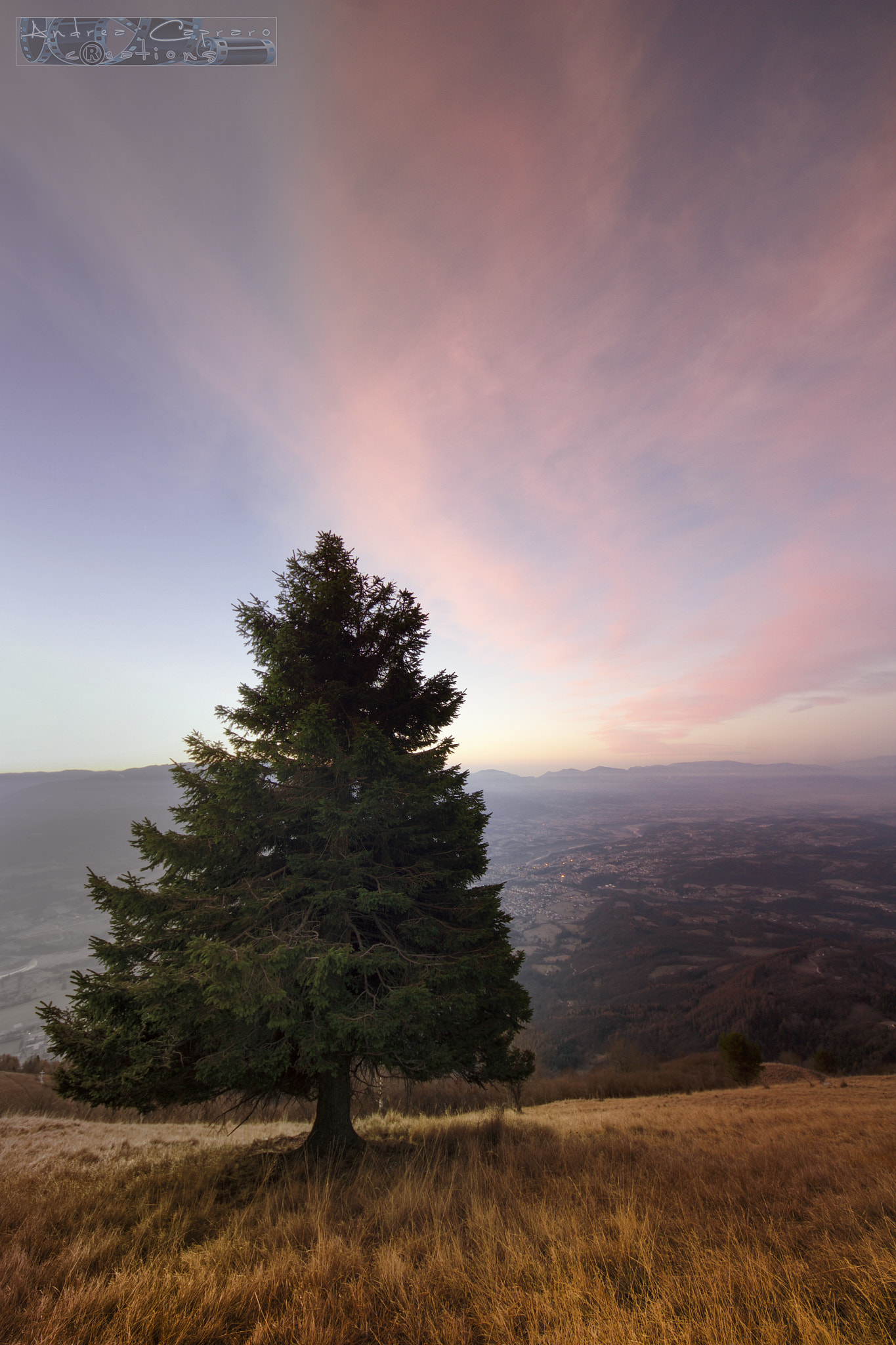Sigma 8-16mm F4.5-5.6 DC HSM sample photo. Pine mael. photography