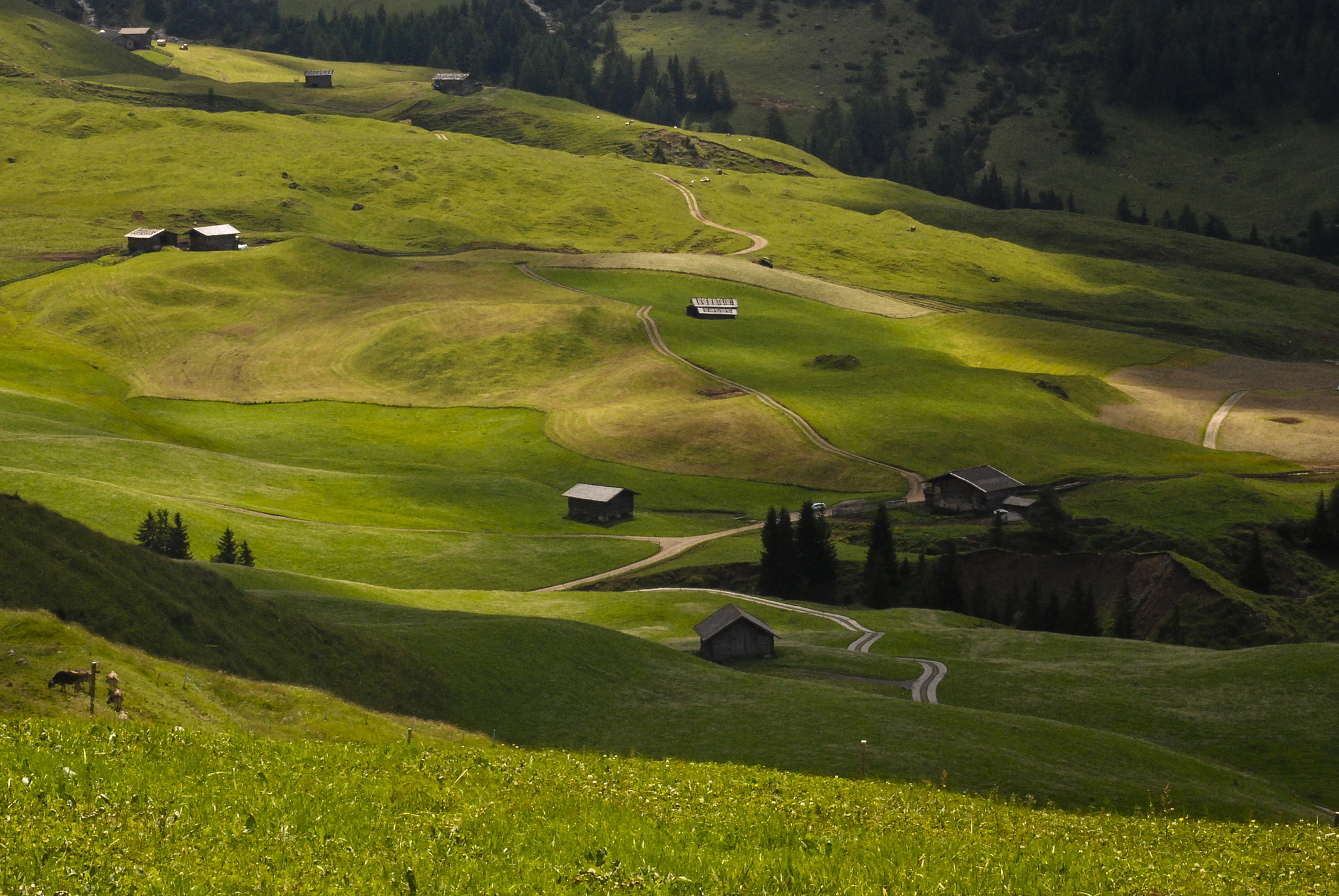 AF Zoom-Nikkor 80-200mm f/4.5-5.6D sample photo. Alto adige photography