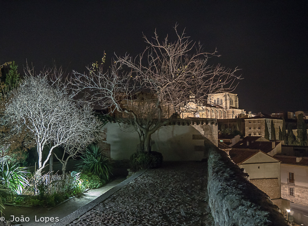 LUMIX G VARIO PZ 14-42/F3.5-5.6 sample photo. Night colors photography