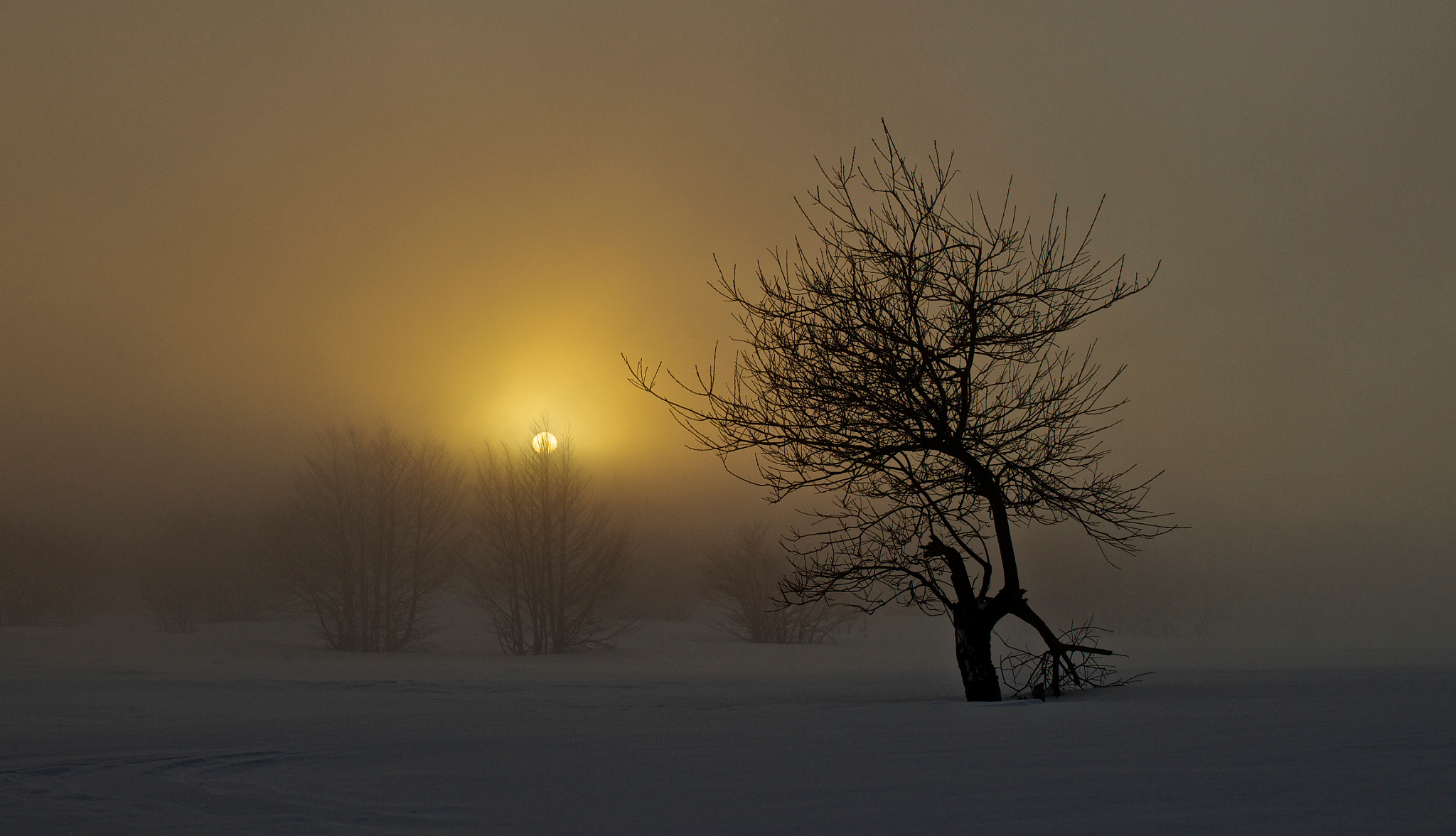 Canon EOS 650D (EOS Rebel T4i / EOS Kiss X6i) + Canon EF 35mm F2 sample photo. Winter atmosphere photography