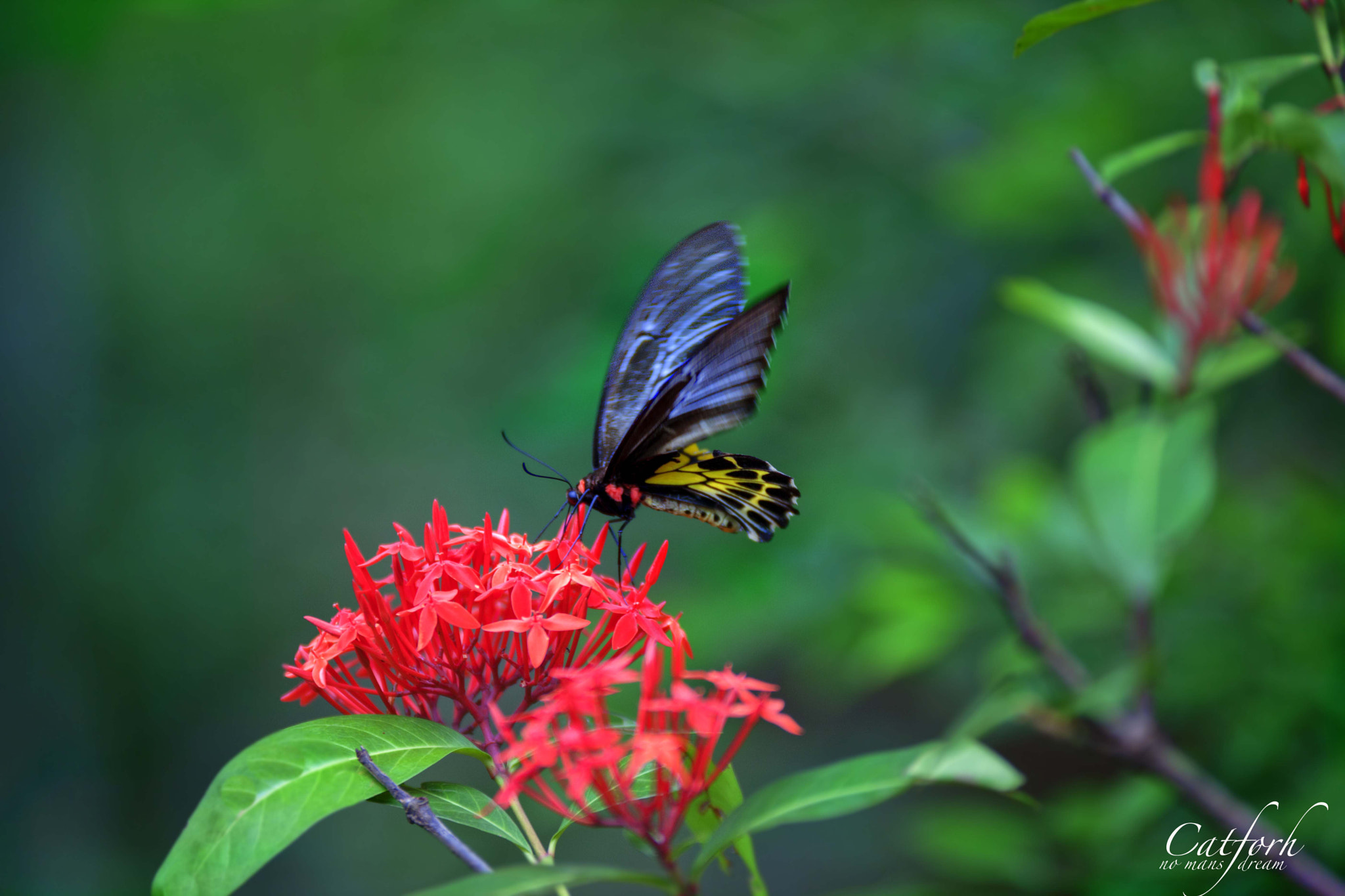 Sigma 120-300mm F2.8 EX DG HSM sample photo. Right off from where i came.. photography