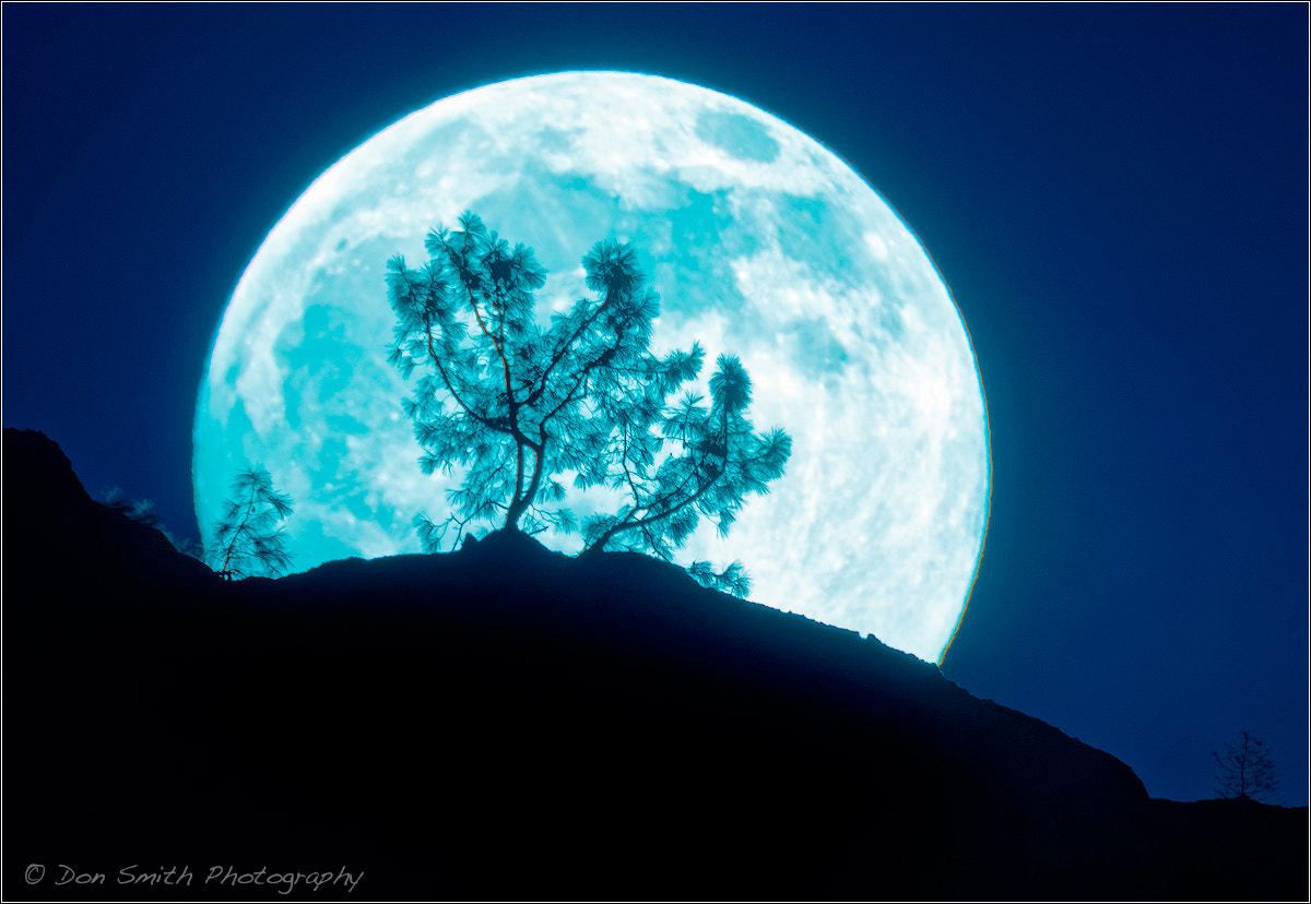 Canon EF 400mm F2.8L IS USM sample photo. Fill moon rise over high peaks photography