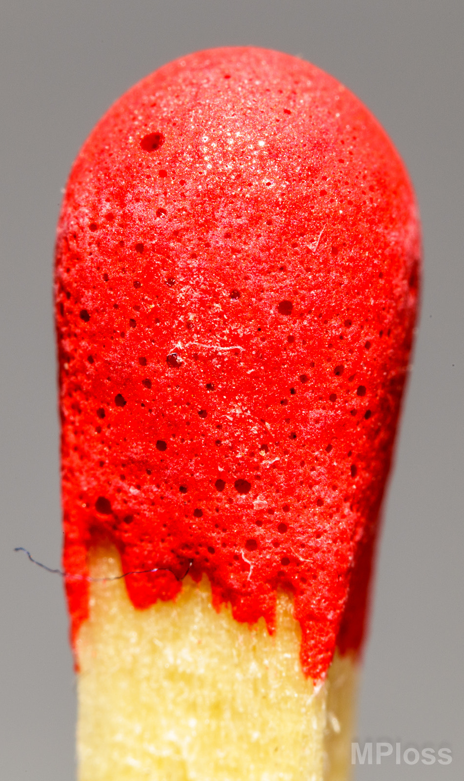Canon EF-S 60mm F2.8 Macro USM sample photo. Match photography