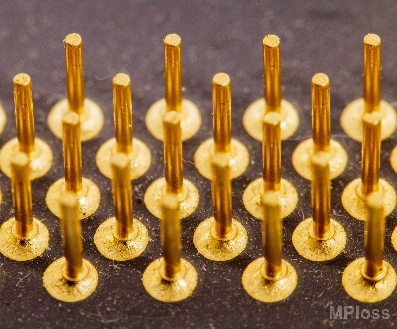 Canon EF-S 60mm F2.8 Macro USM sample photo. Pins photography