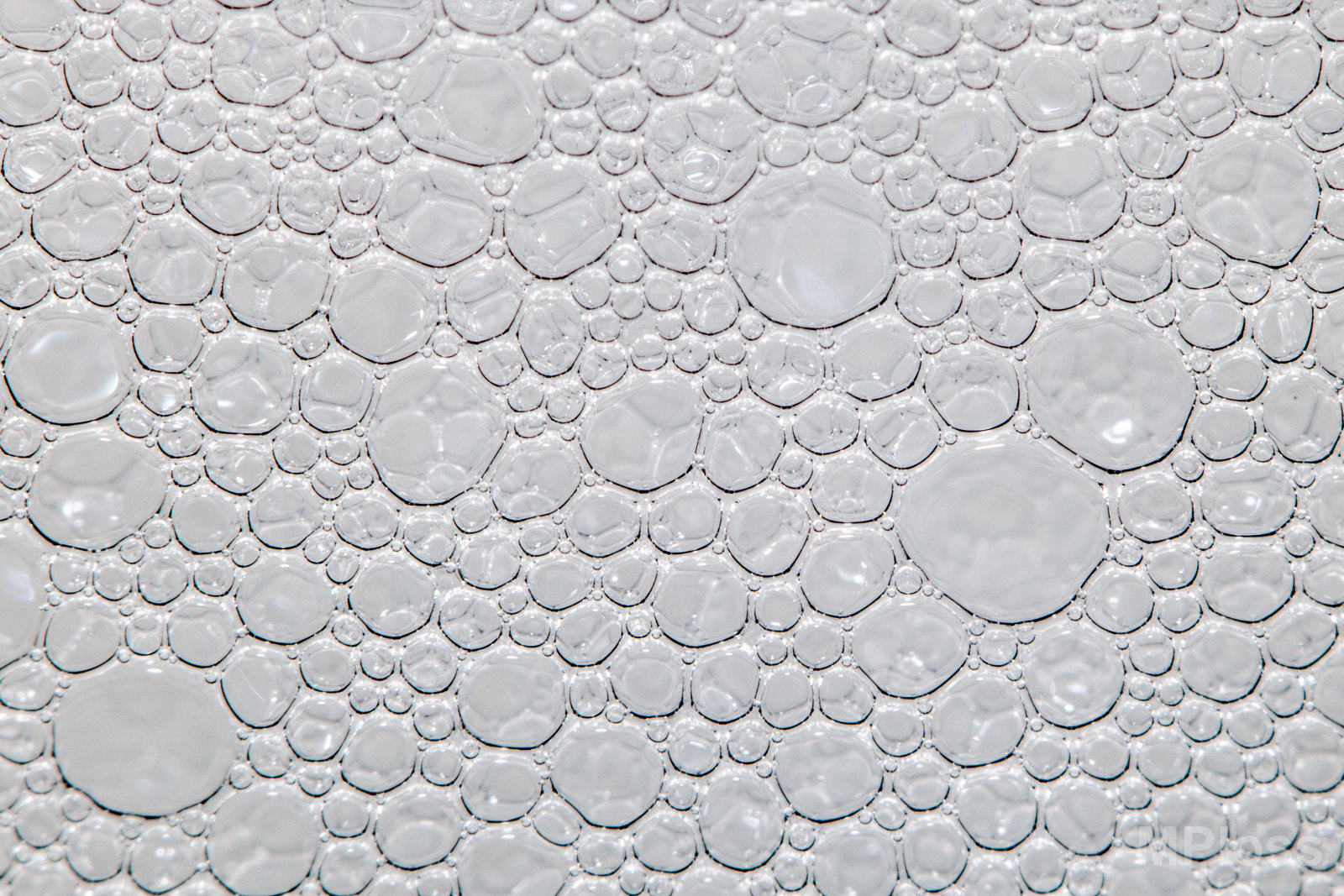 Canon EF-S 60mm F2.8 Macro USM sample photo. Foam photography
