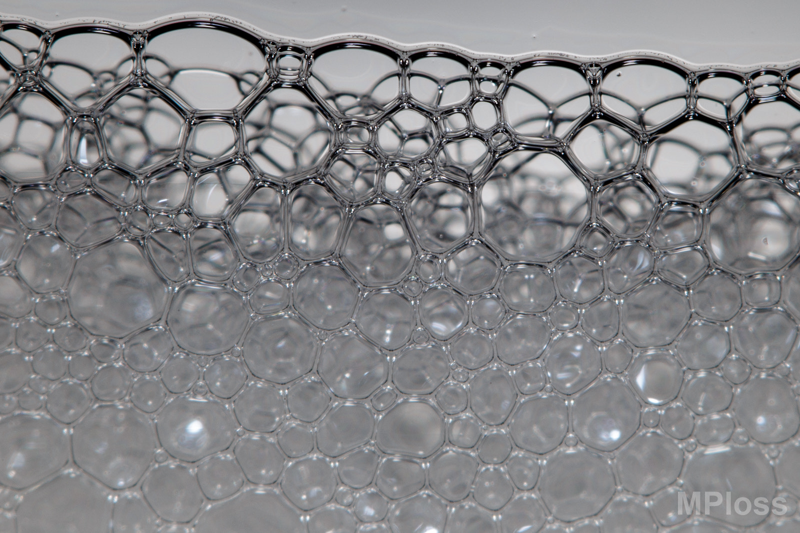 Canon EF-S 60mm F2.8 Macro USM sample photo. Foam photography